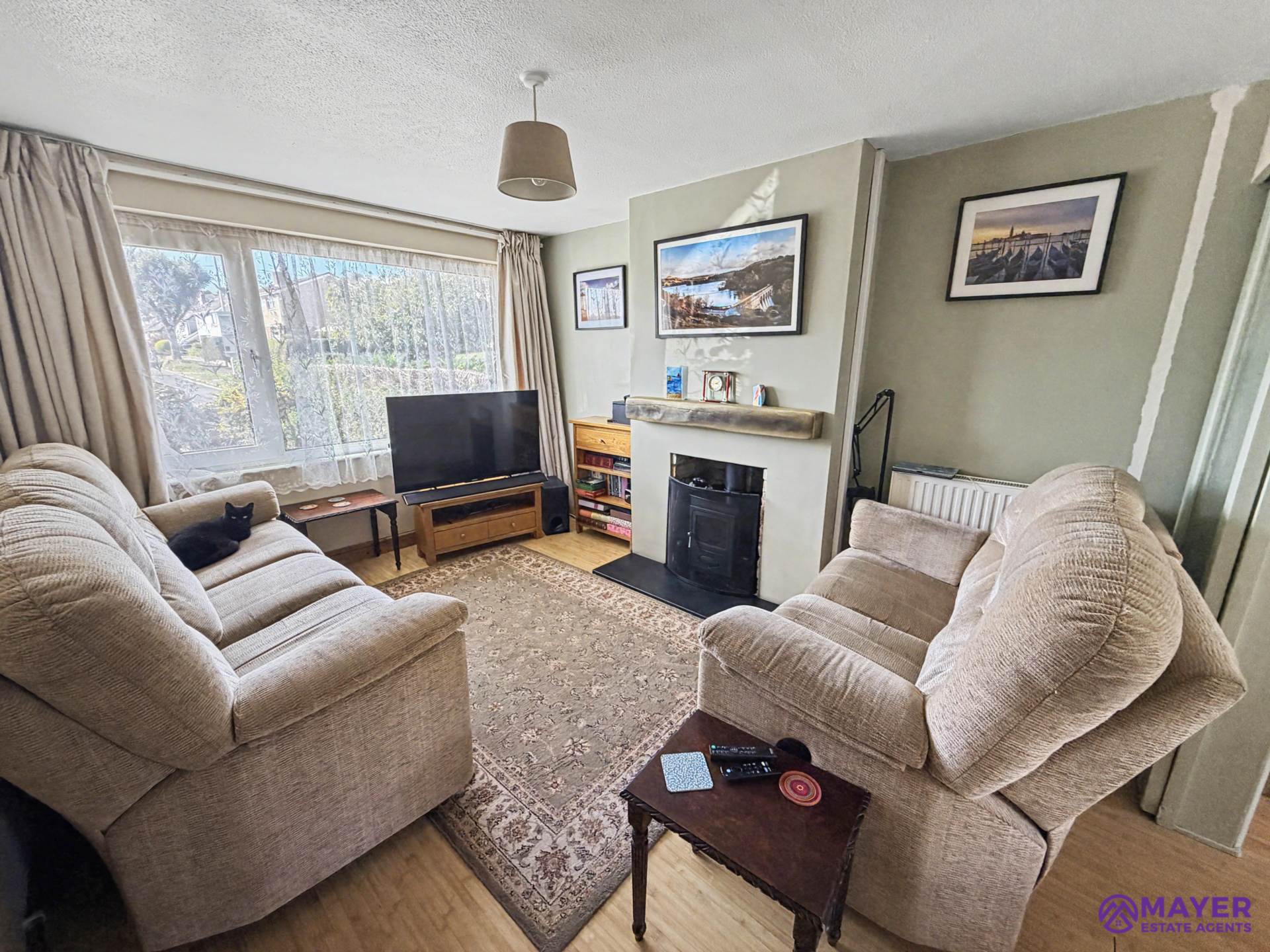 Boringdon Hill, Plympton, Image 2