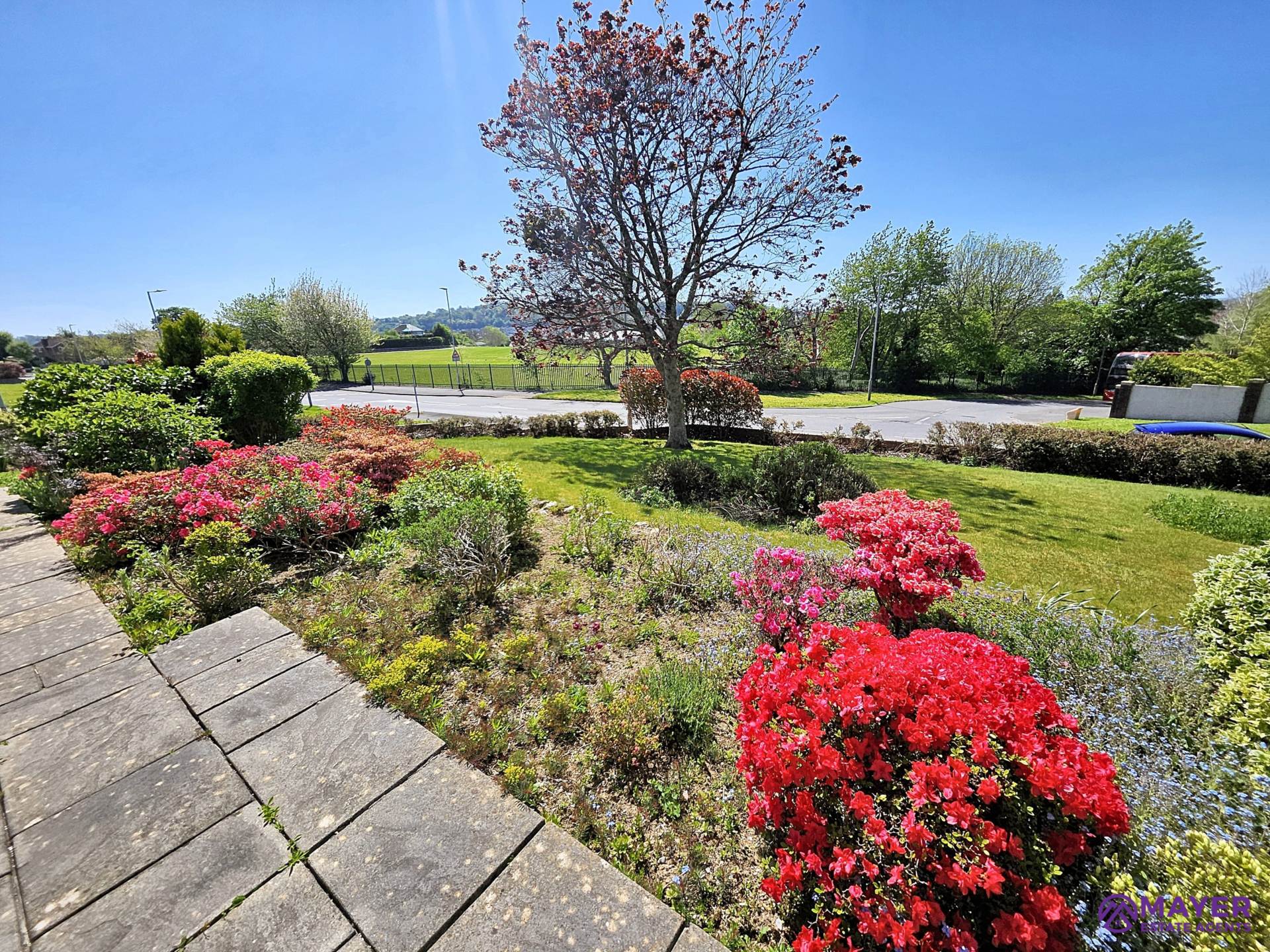 Plymbridge Road, Plympton, Image 19
