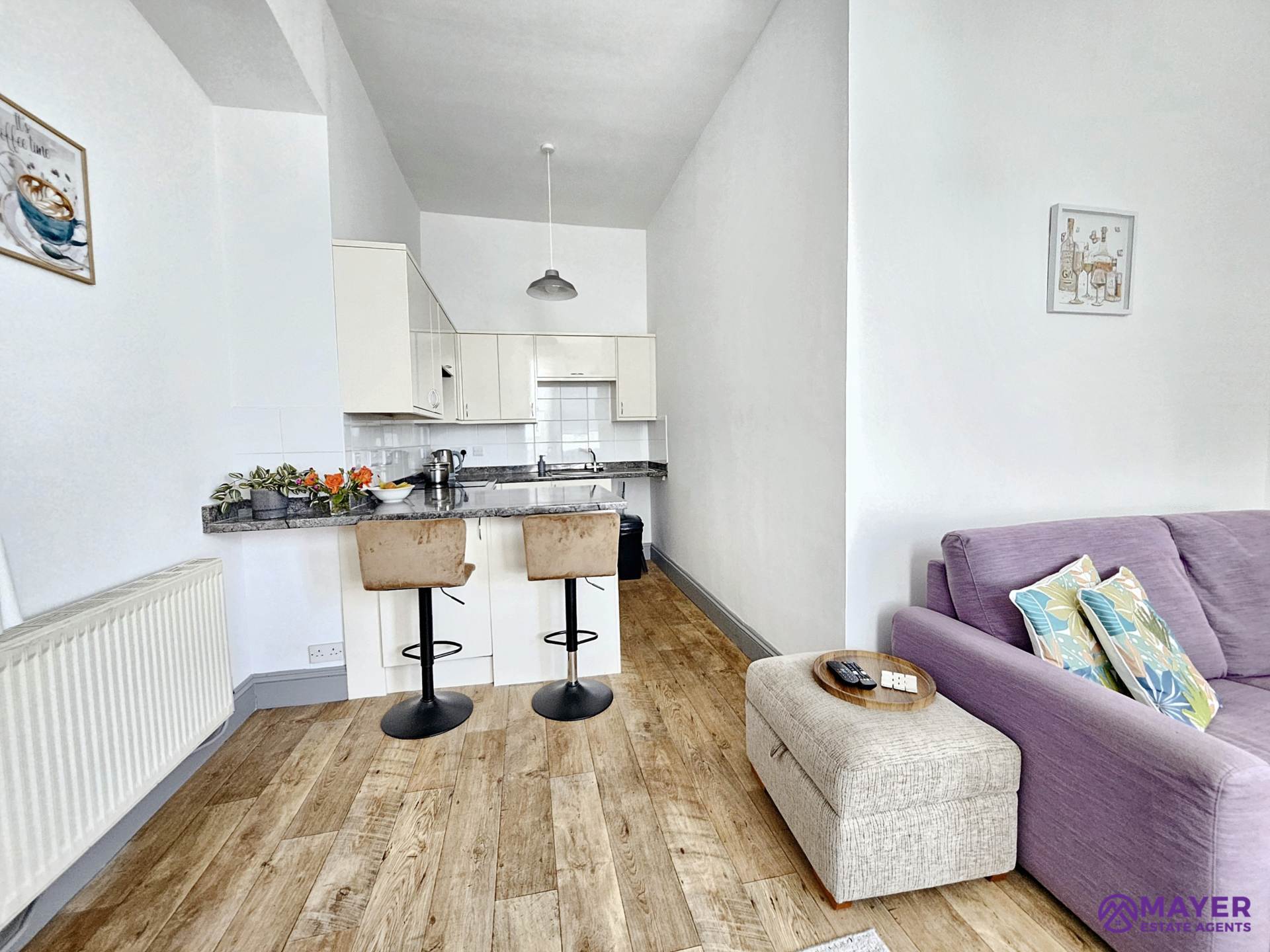 Seymour Road, Plymouth, Image 13