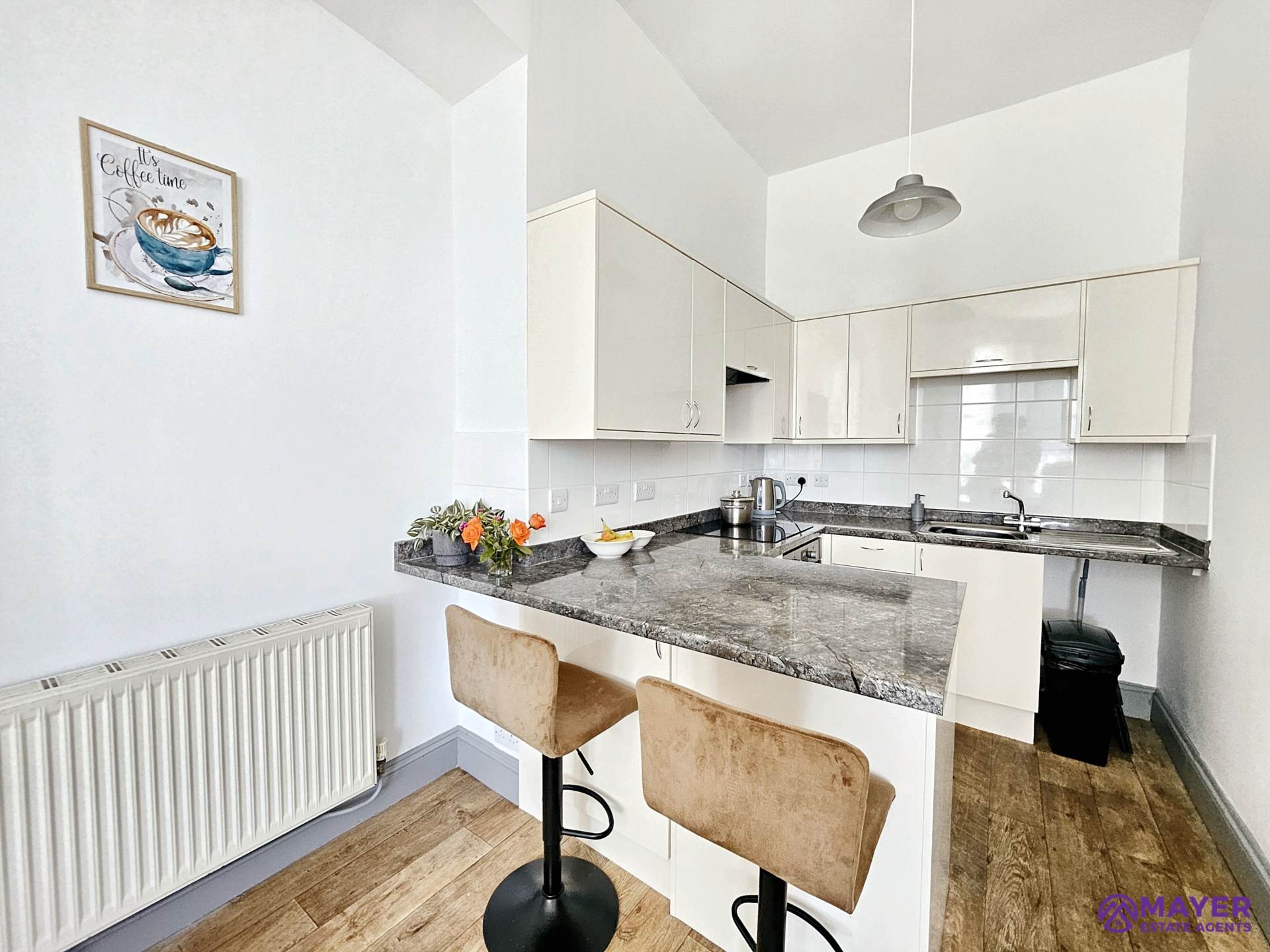 Seymour Road, Plymouth, Image 4