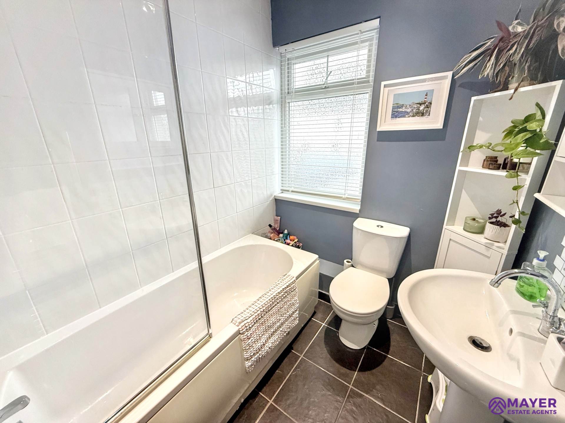 Briar Road, Plymouth, Image 10