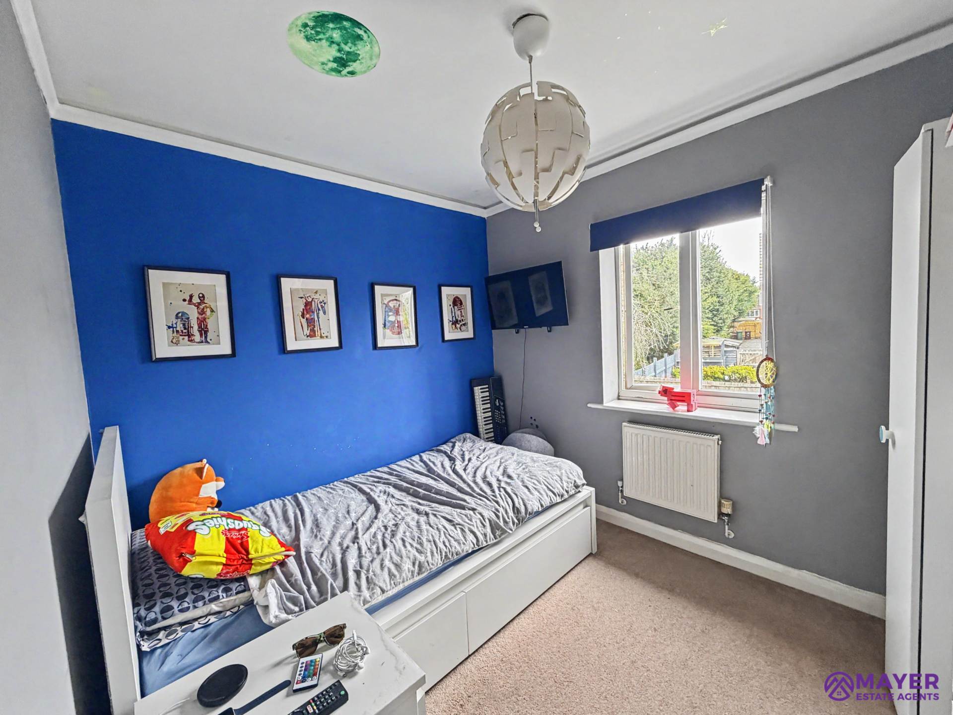 Bridle Close, Plympton, Image 8