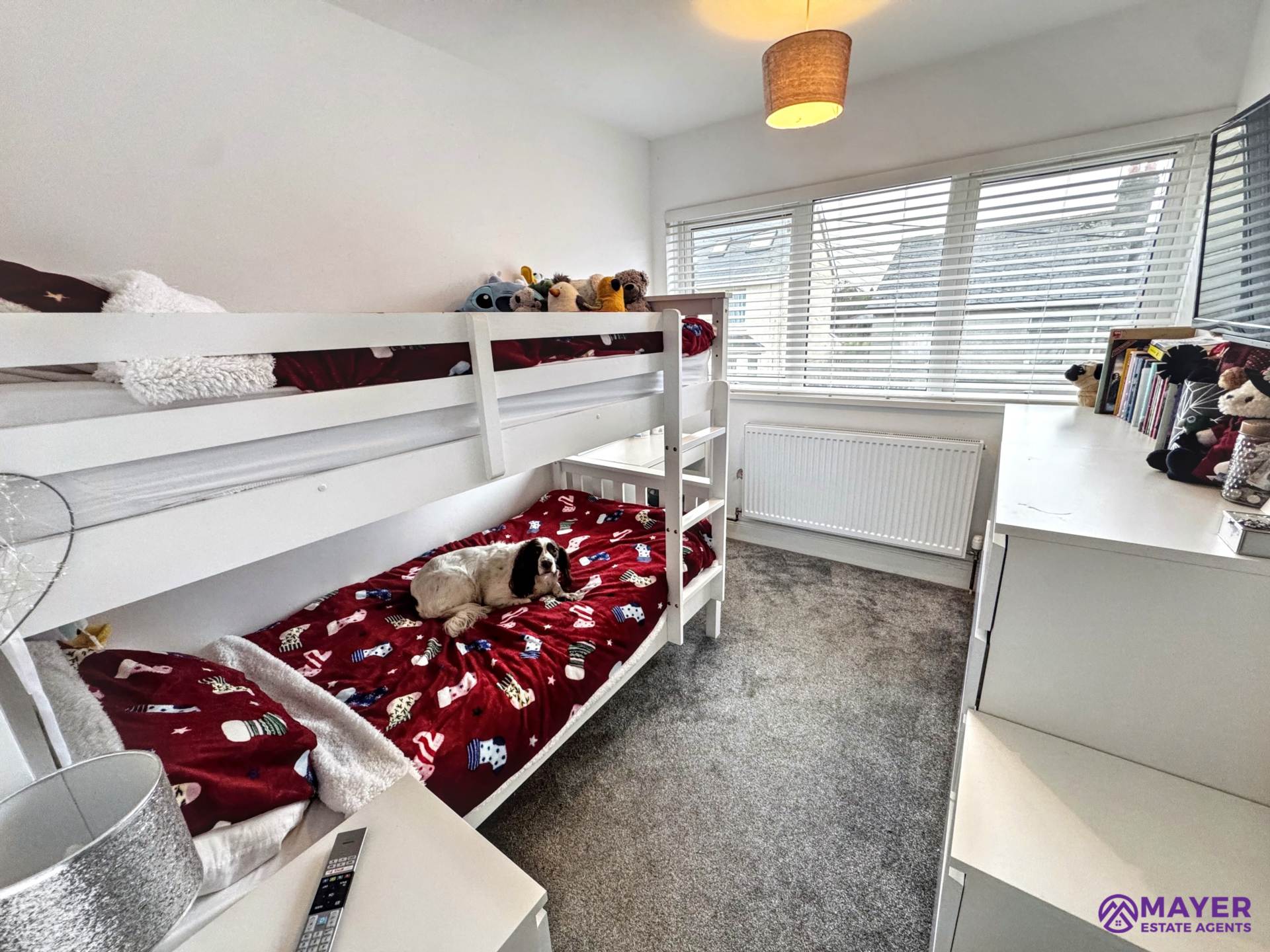 Endsleigh Road, Plymouth, Image 7