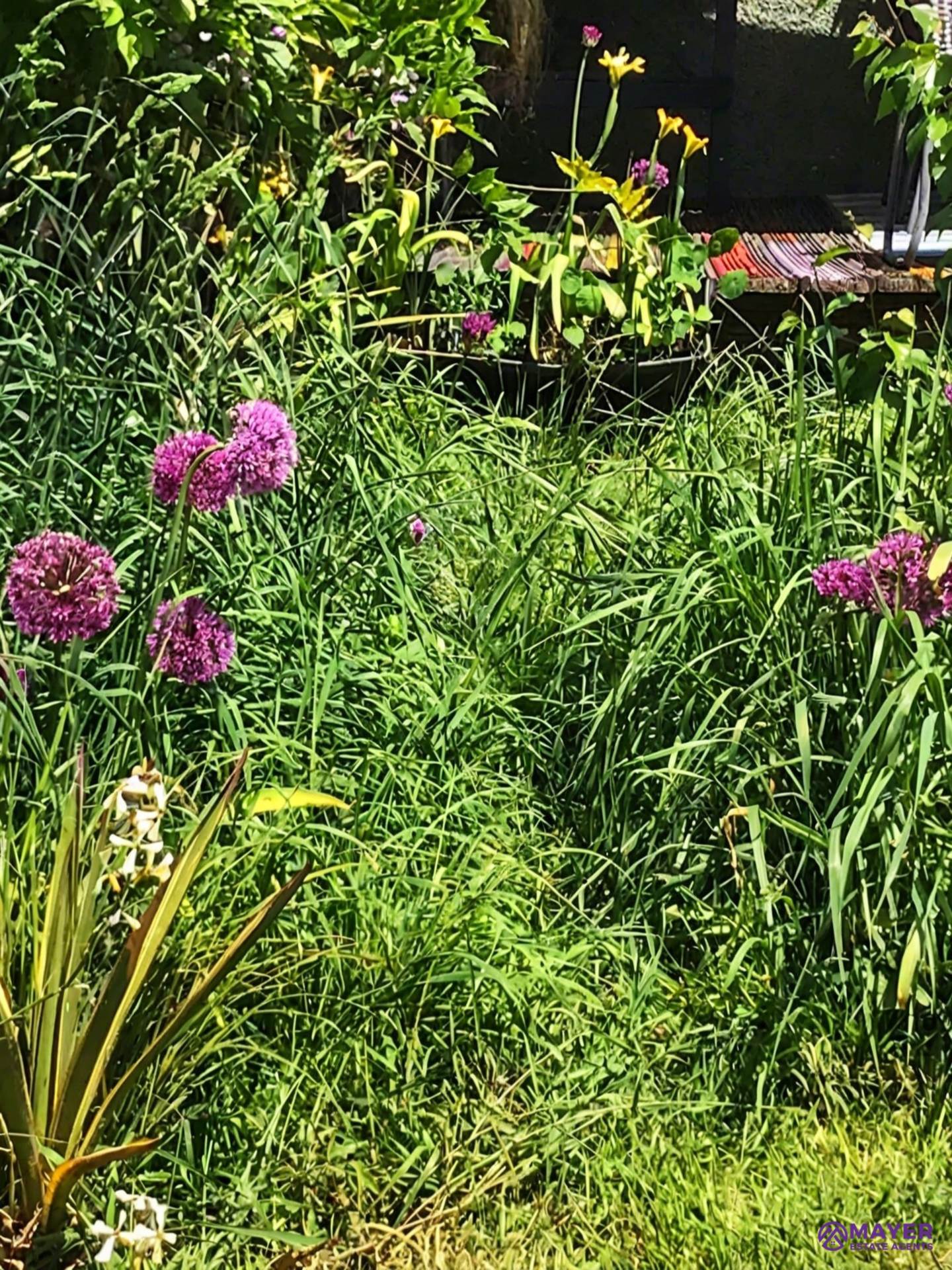 Woollcombe Avenue, Plymouth, Image 13