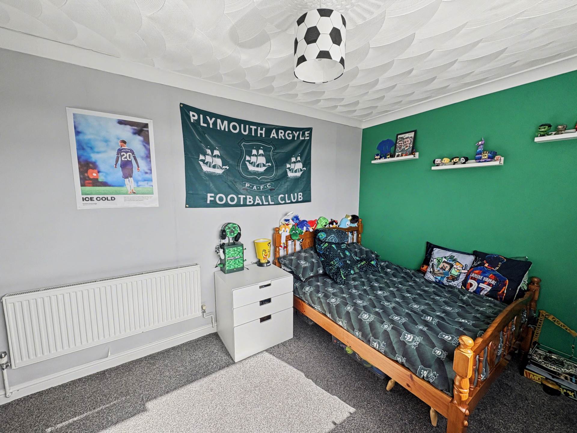 Kings Tamerton Road, Plymouth, Image 18