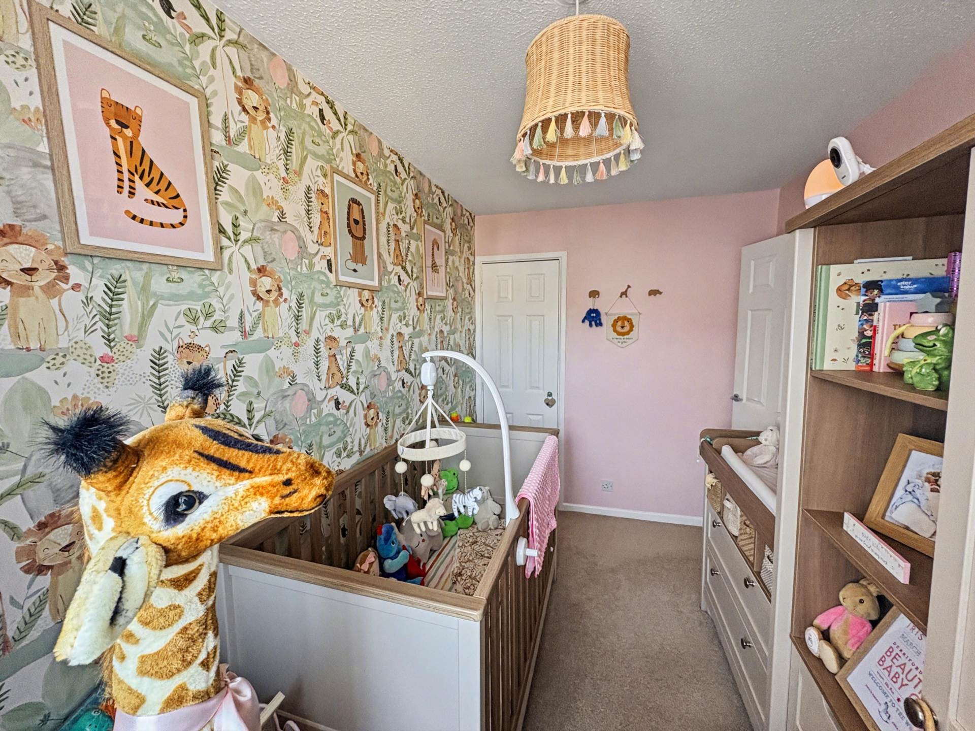 Chelmer Close, Plymouth, Image 11