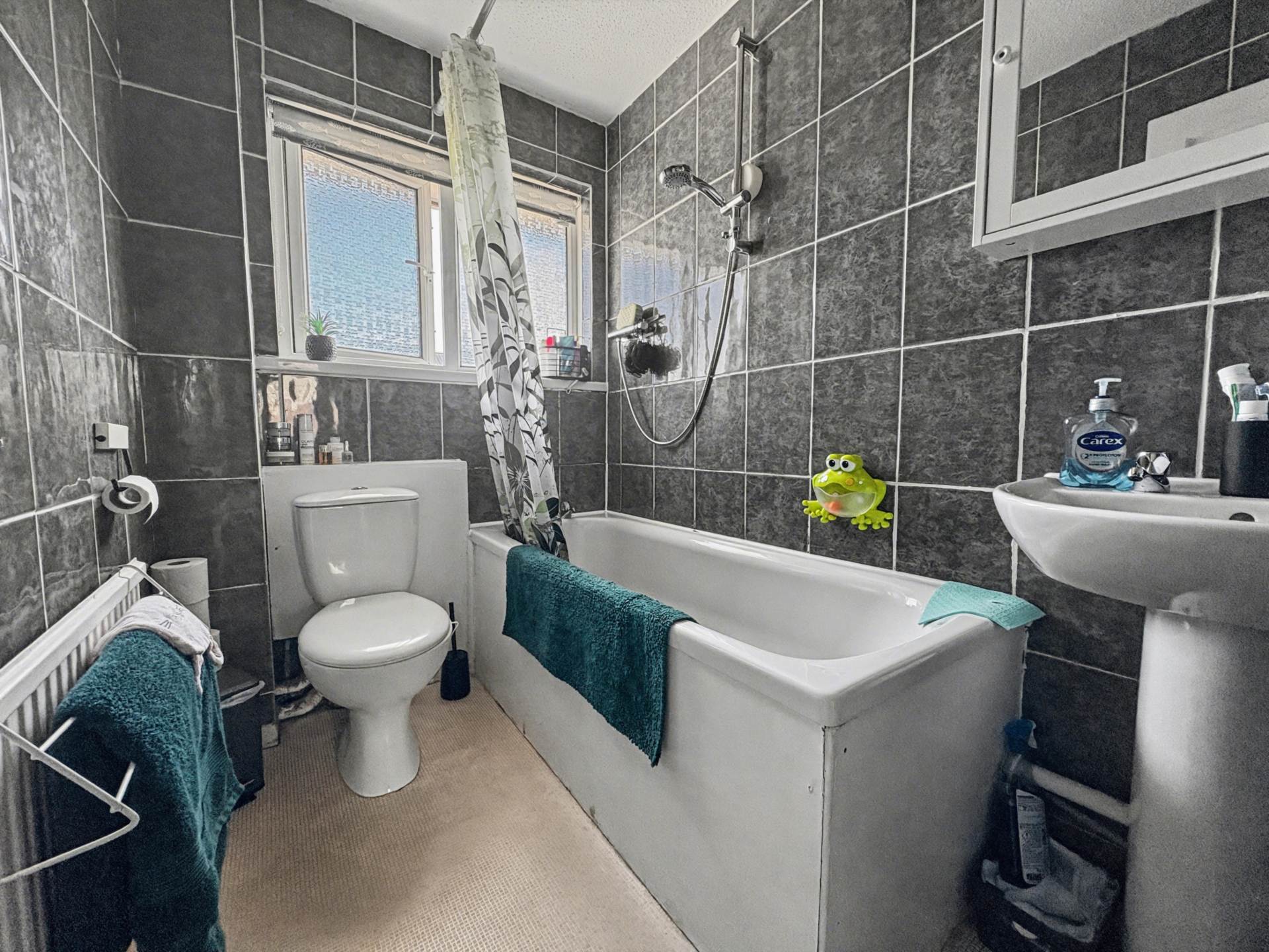 Chelmer Close, Plymouth, Image 12