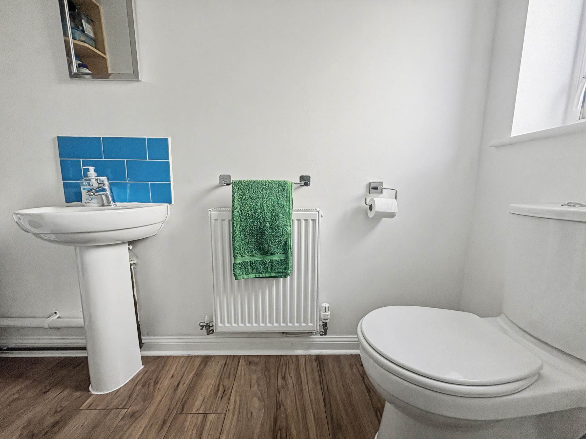 Yellowmead Road, Plymouth, Image 10