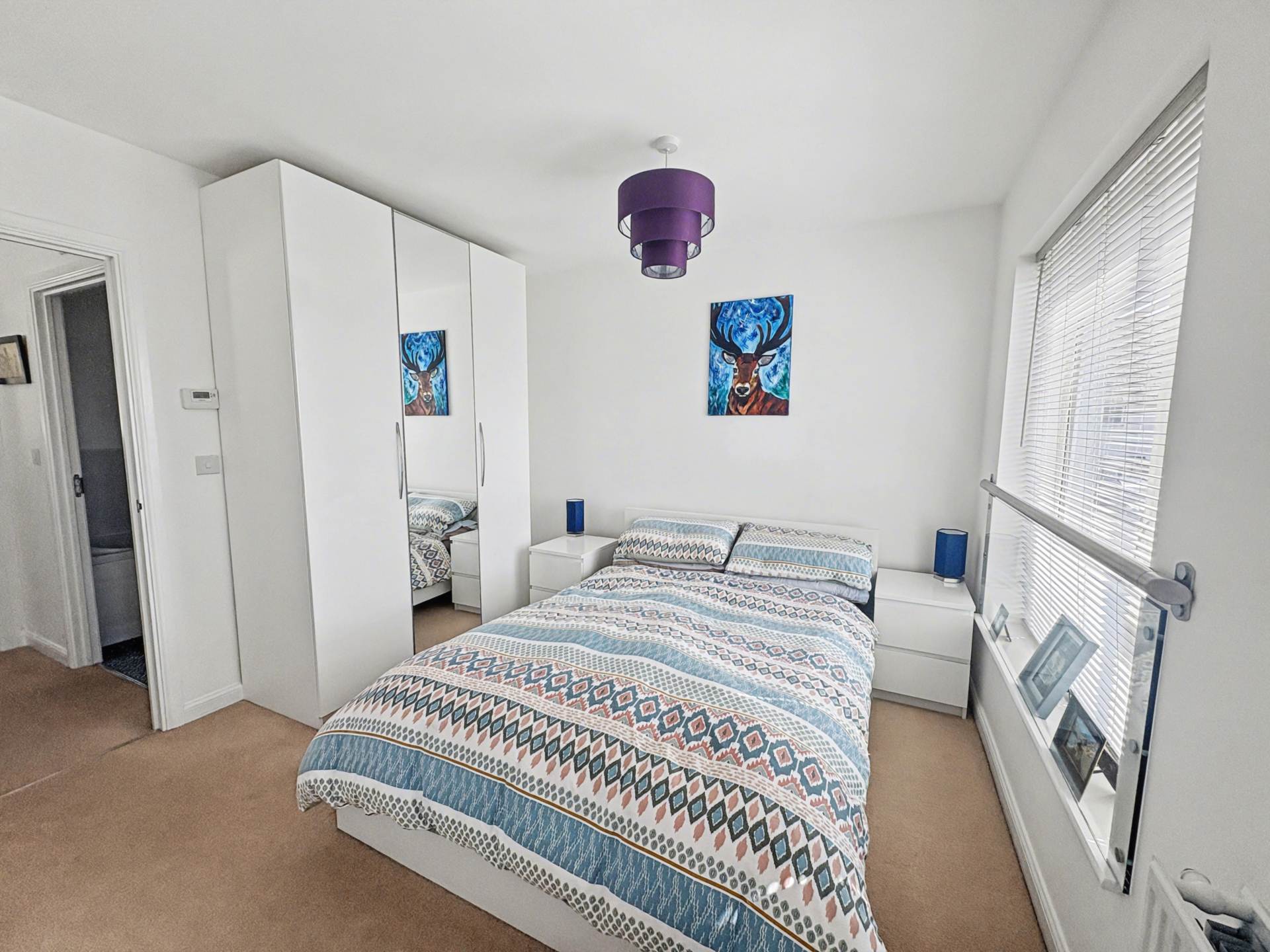 Yellowmead Road, Plymouth, Image 14