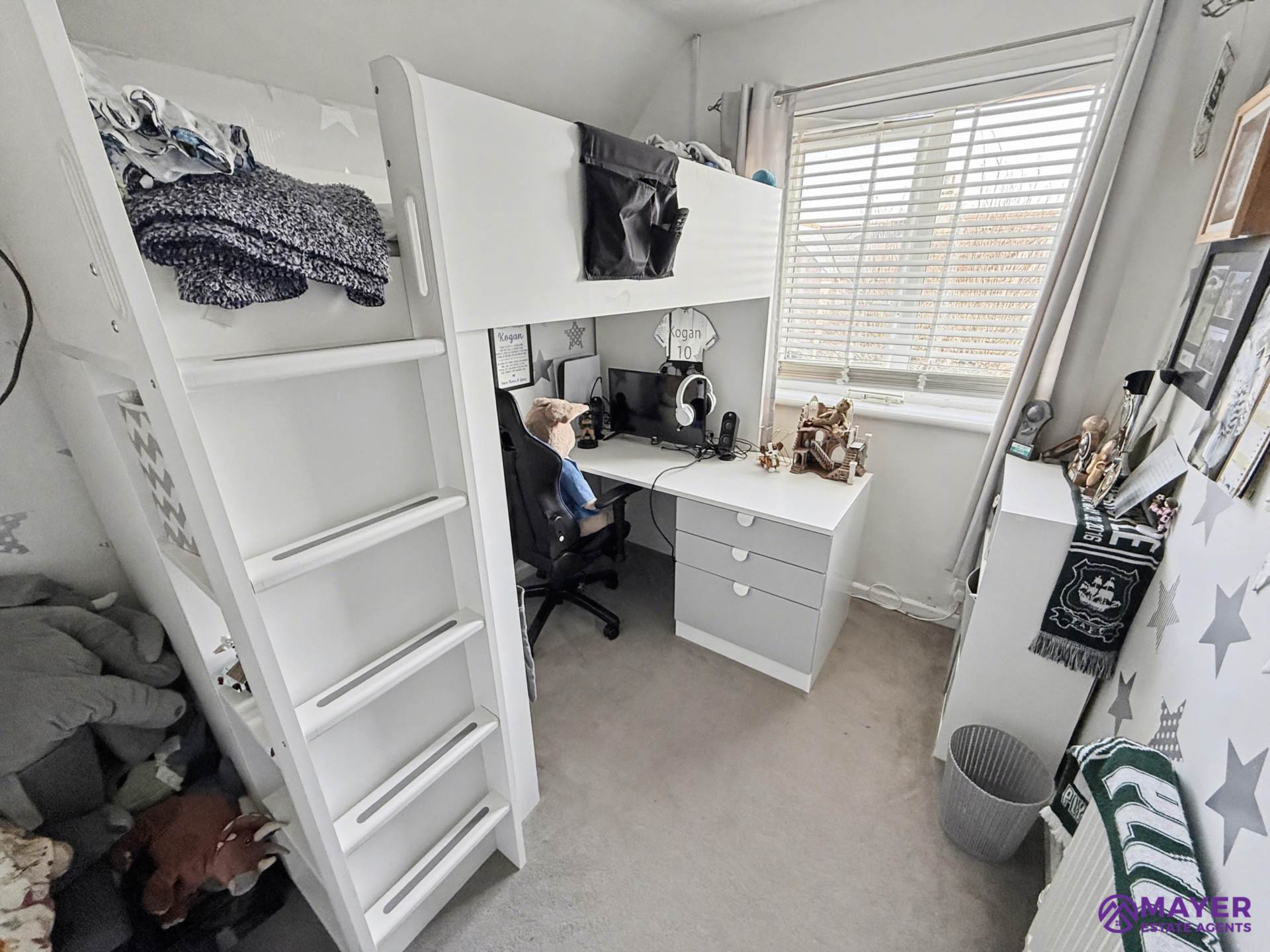 Mount Gould Avenue, Plymouth, Image 11