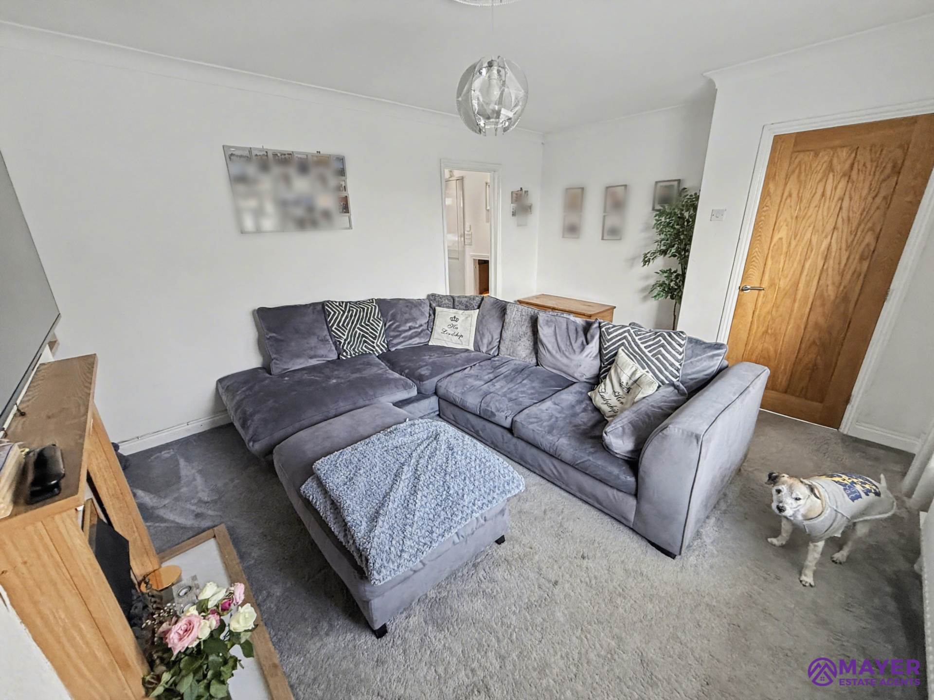 Mount Gould Avenue, Plymouth, Image 18