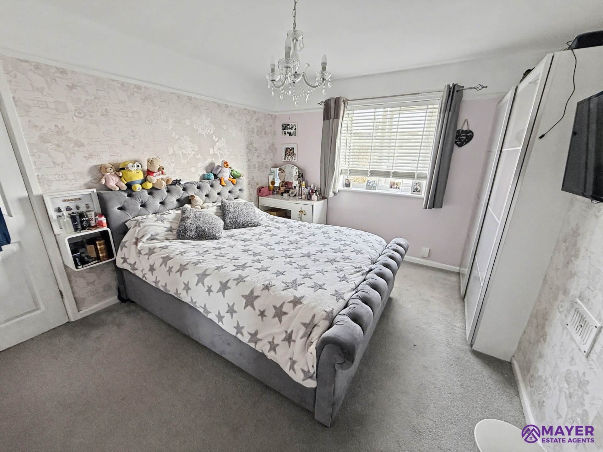 Mount Gould Avenue, Plymouth, Image 9