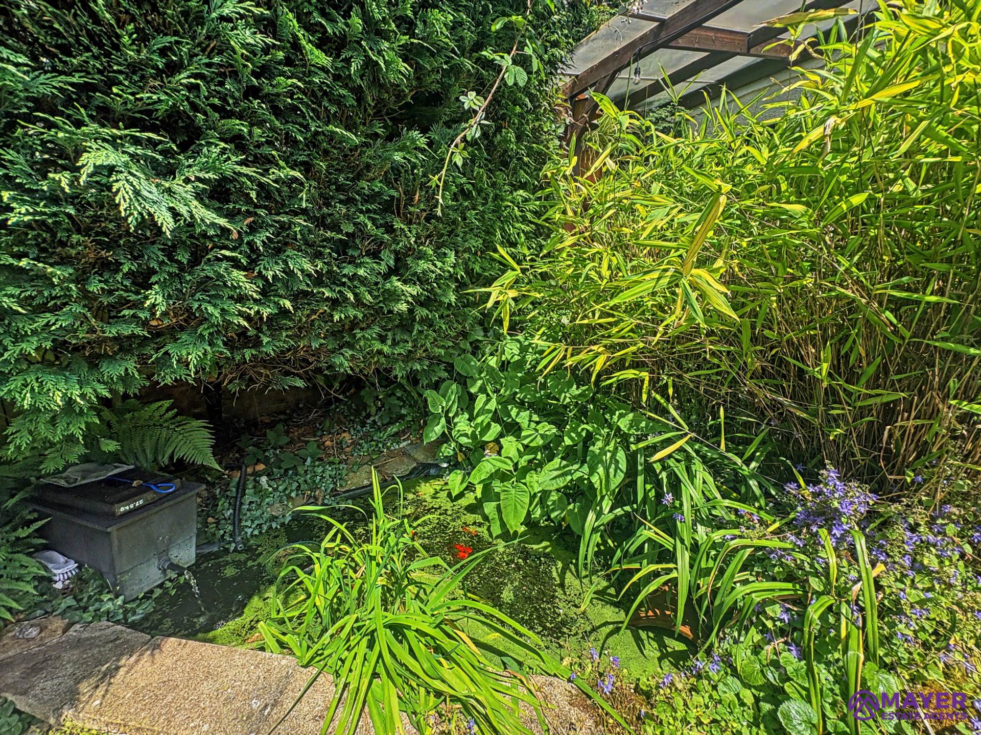 Mount Tamar Close, Plymouth, Image 27