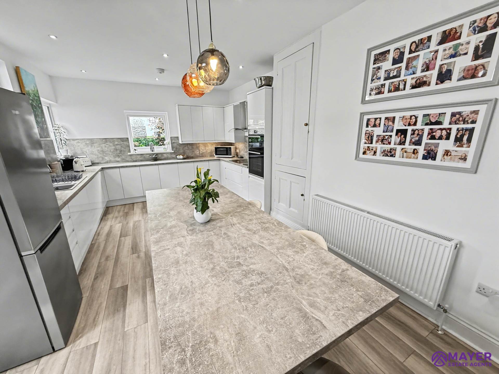 Milehouse Road, Plymouth, Image 20