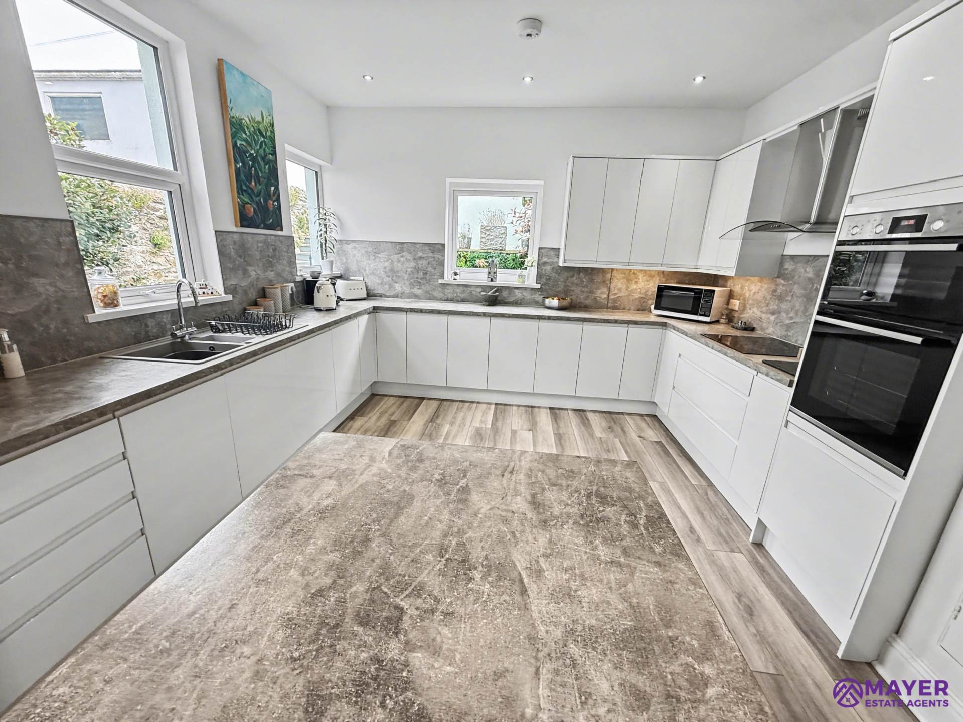 Milehouse Road, Plymouth, Image 4