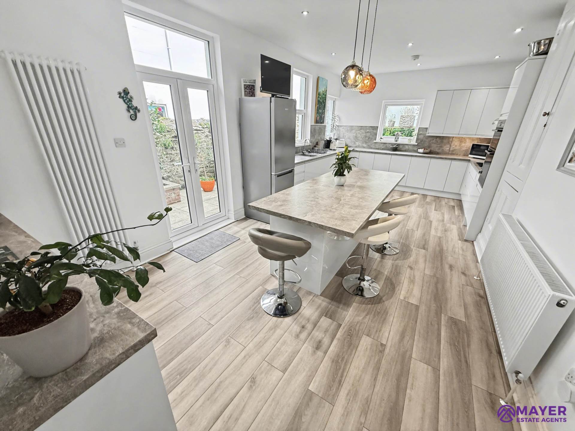 Milehouse Road, Plymouth, Image 5