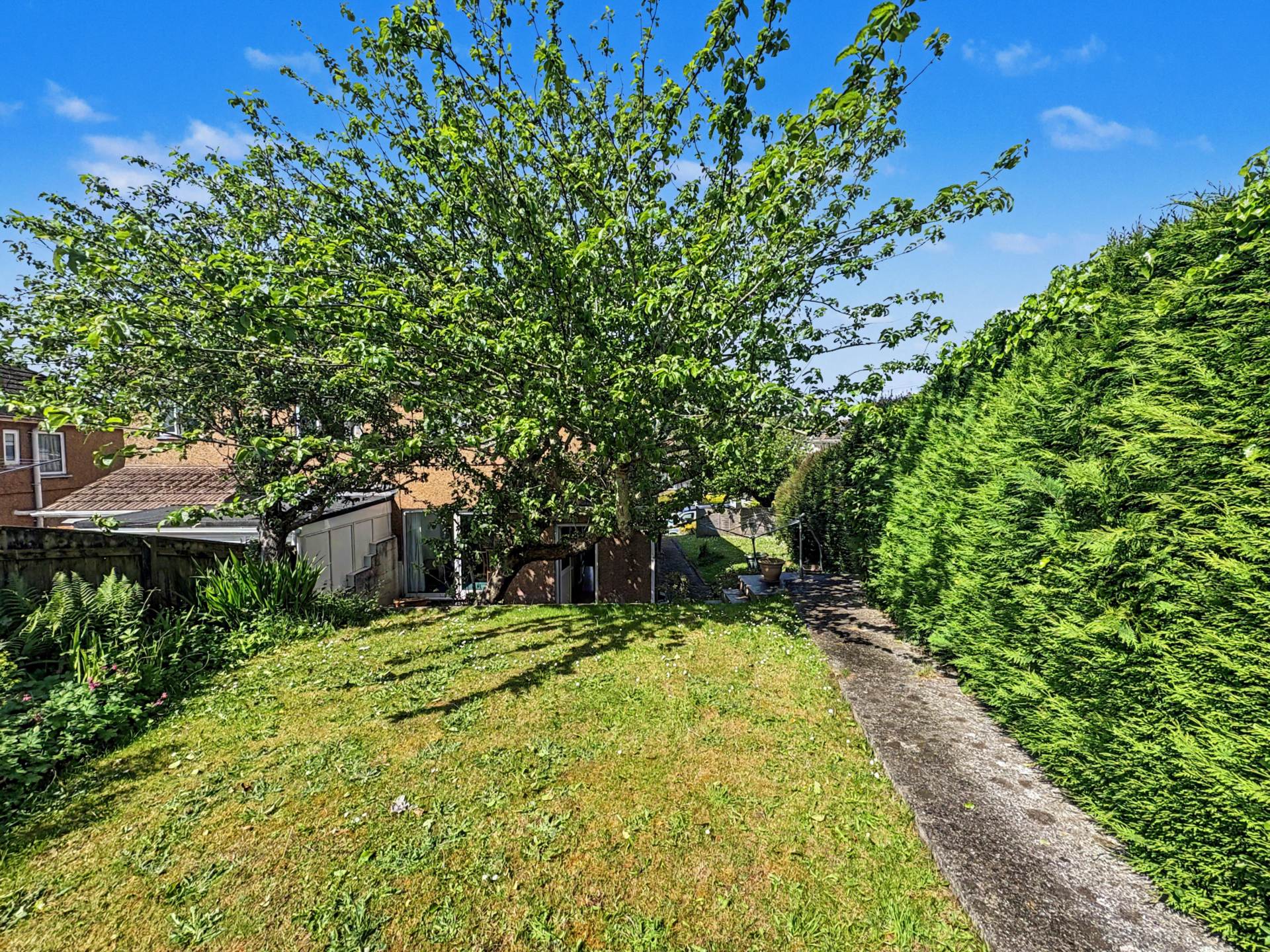 Efford Crescent, Plymouth, Image 20