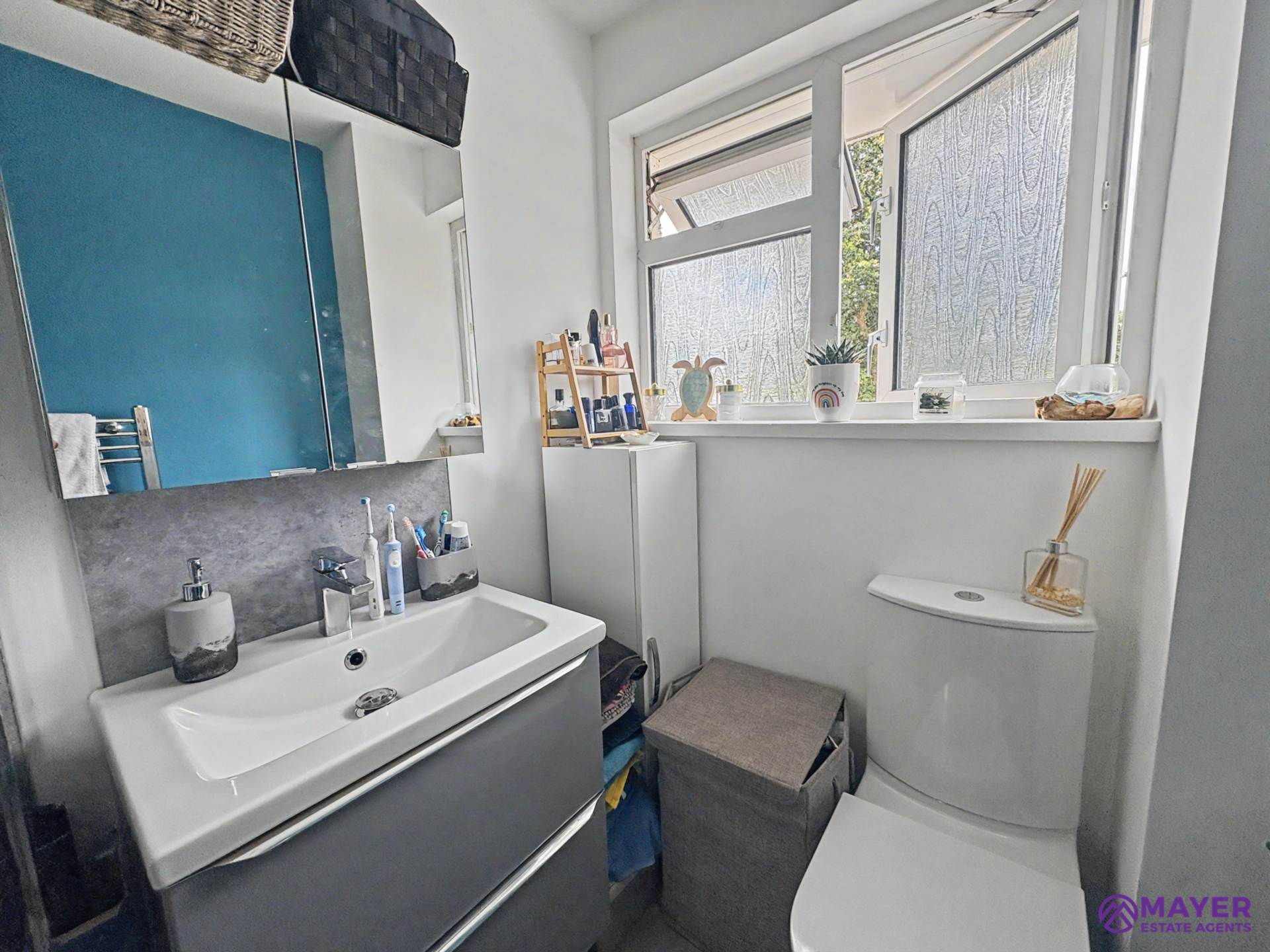 Deveron Close, Plympton, Image 13