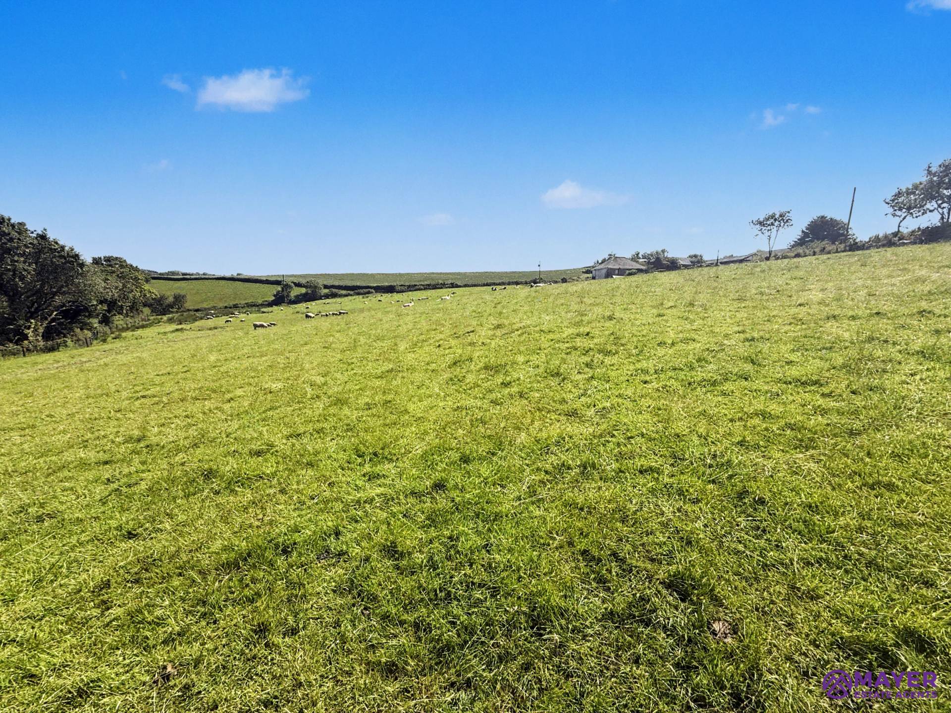 Meadow View, Plymouth, Image 4