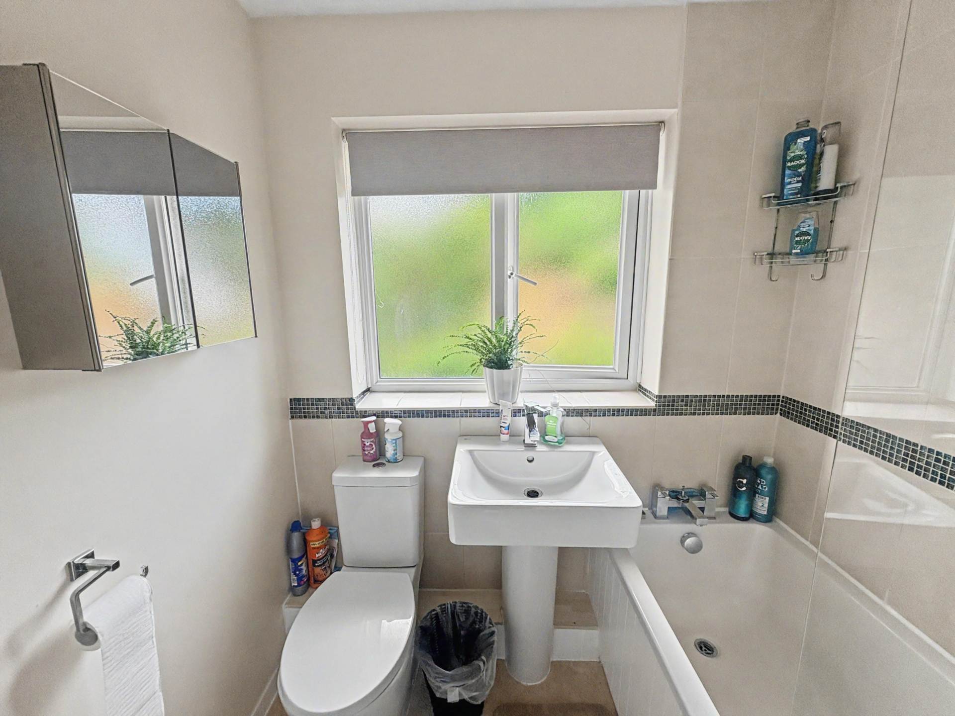 Grantham Close, Plympton, Image 21