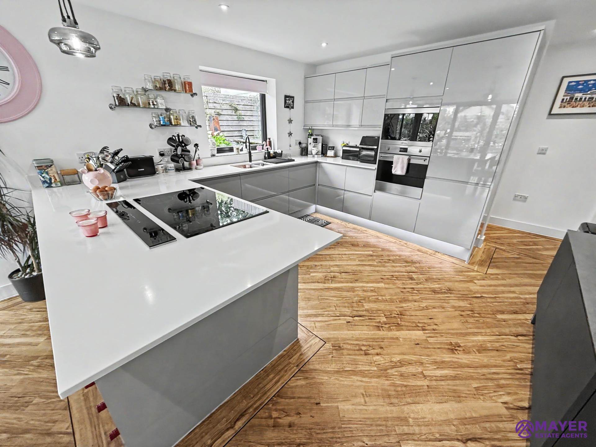 Looseleigh Lane, Plymouth, Image 21