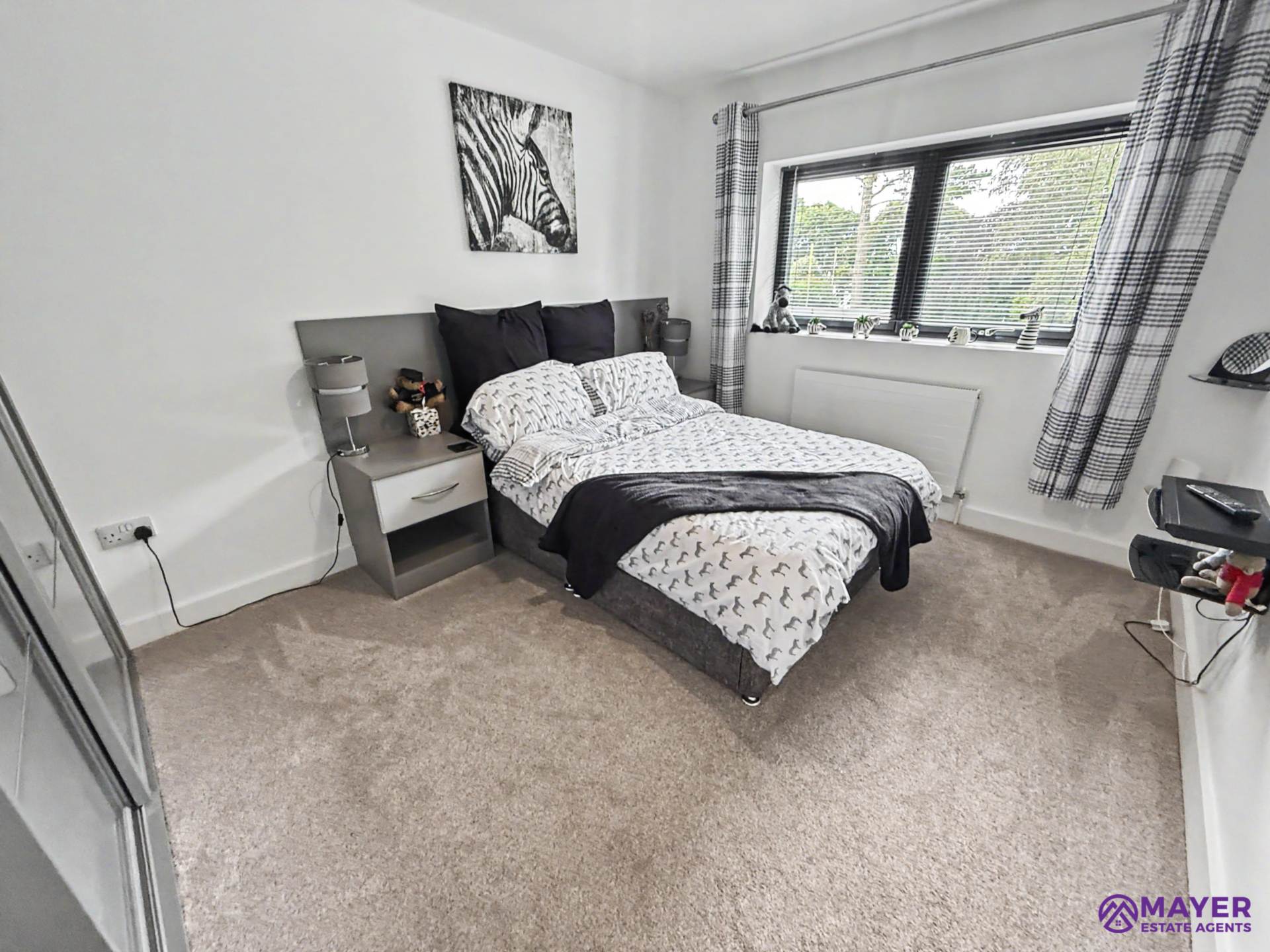Looseleigh Lane, Plymouth, Image 26
