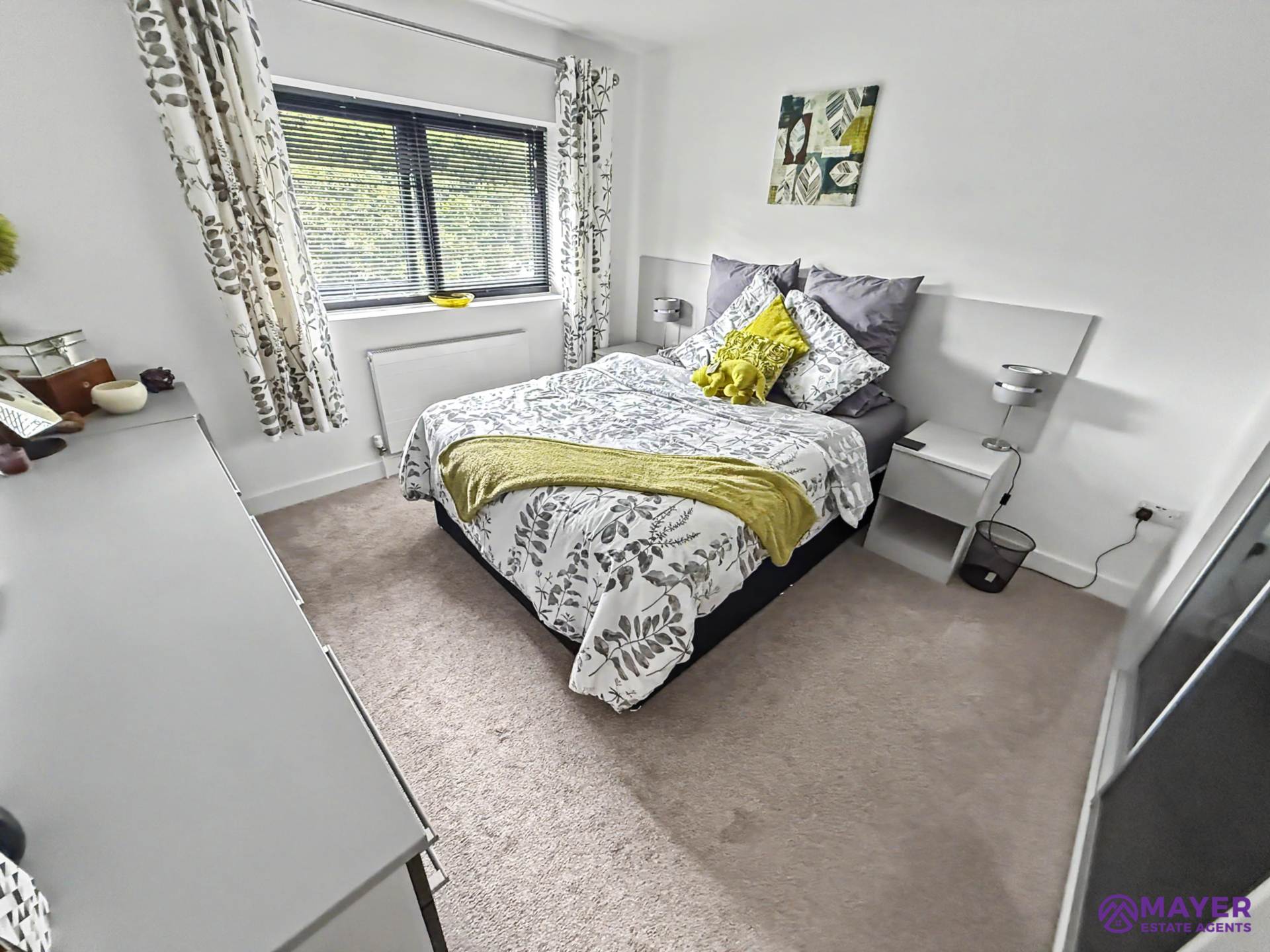 Looseleigh Lane, Plymouth, Image 9