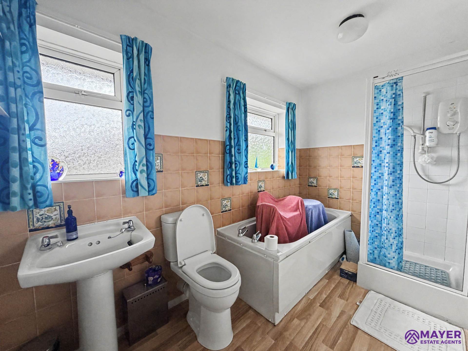 Underlane, Plymouth, Image 12