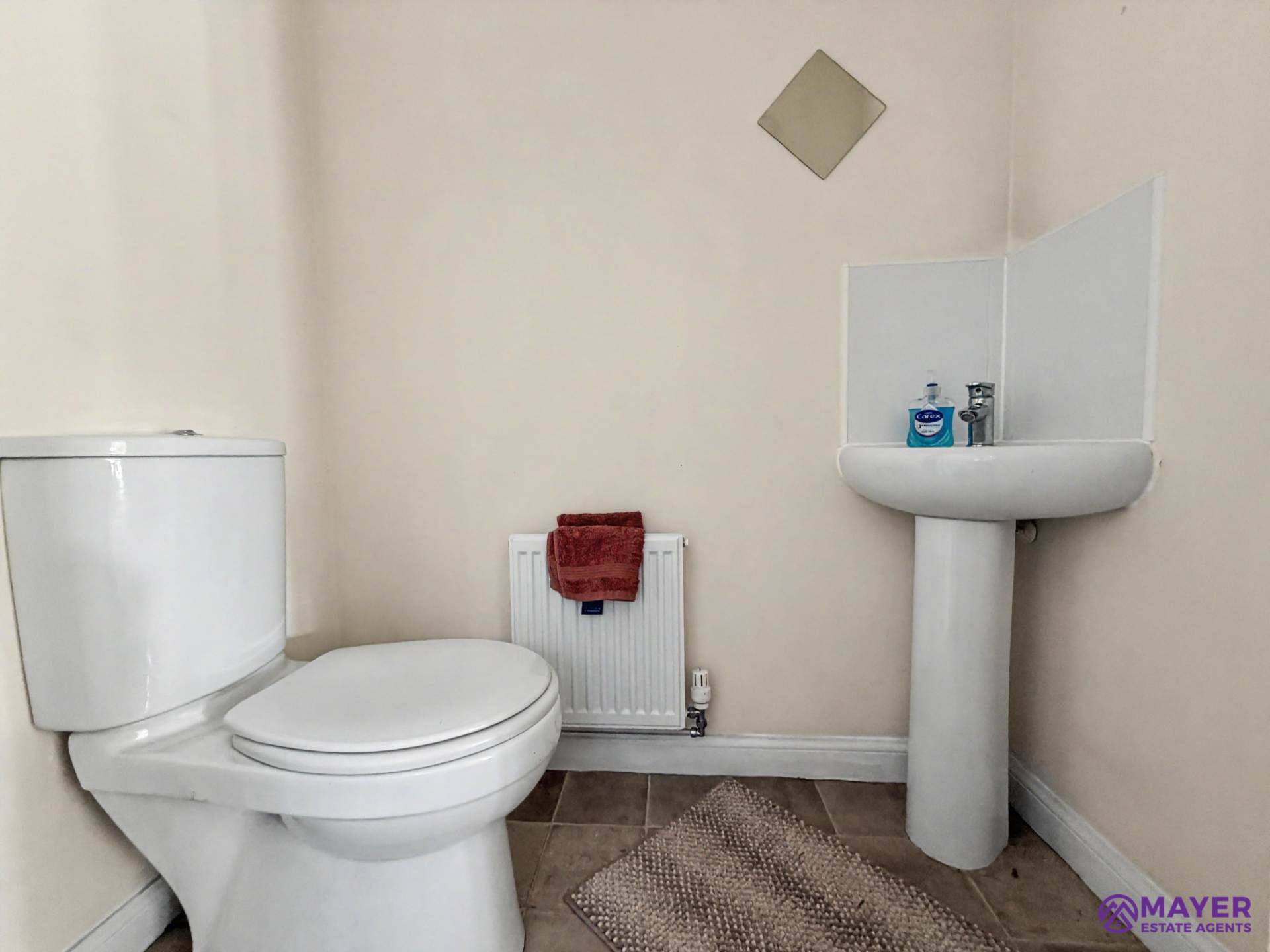 Efford Road, Plymouth, Image 11