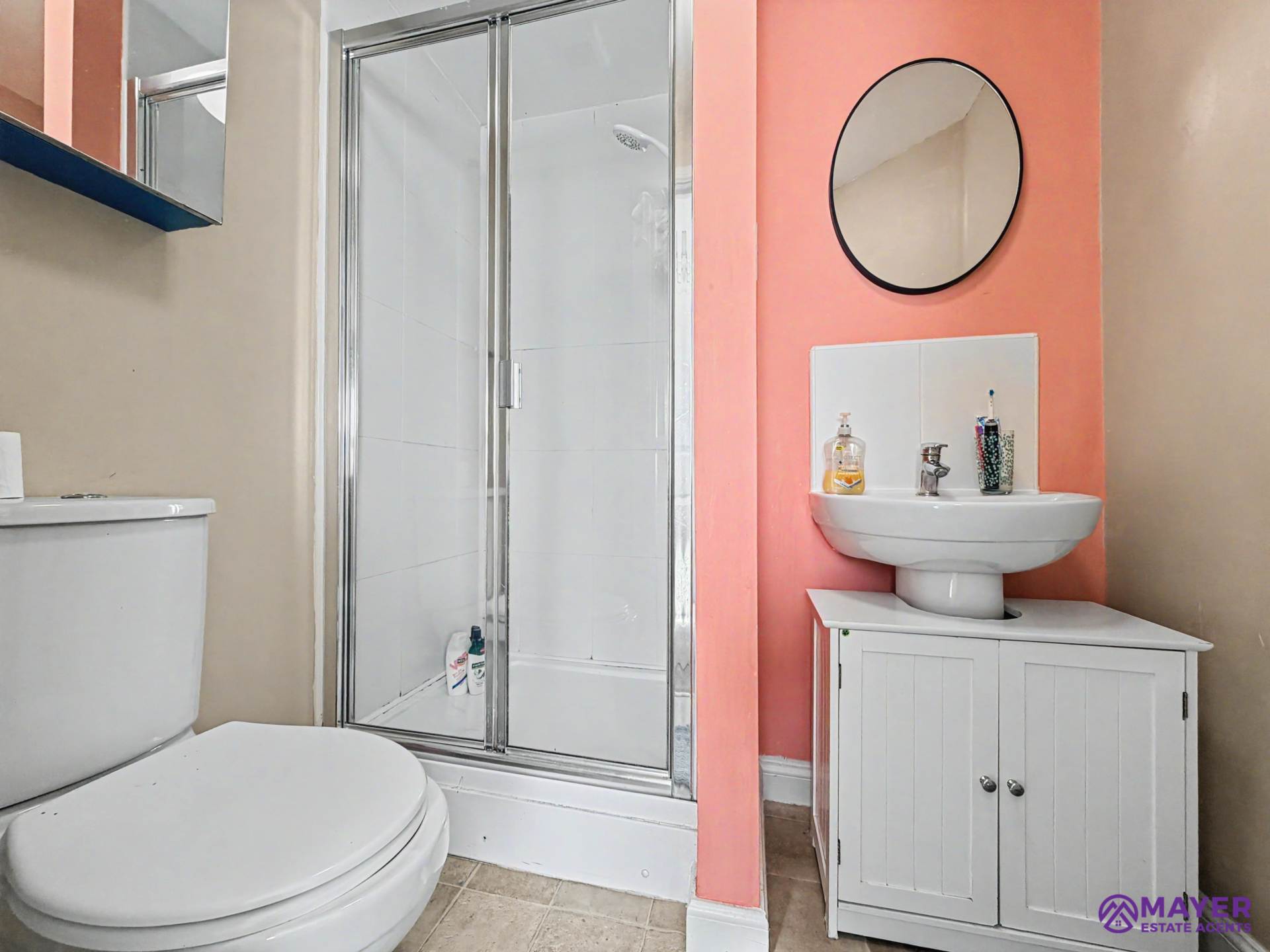 Efford Road, Plymouth, Image 9