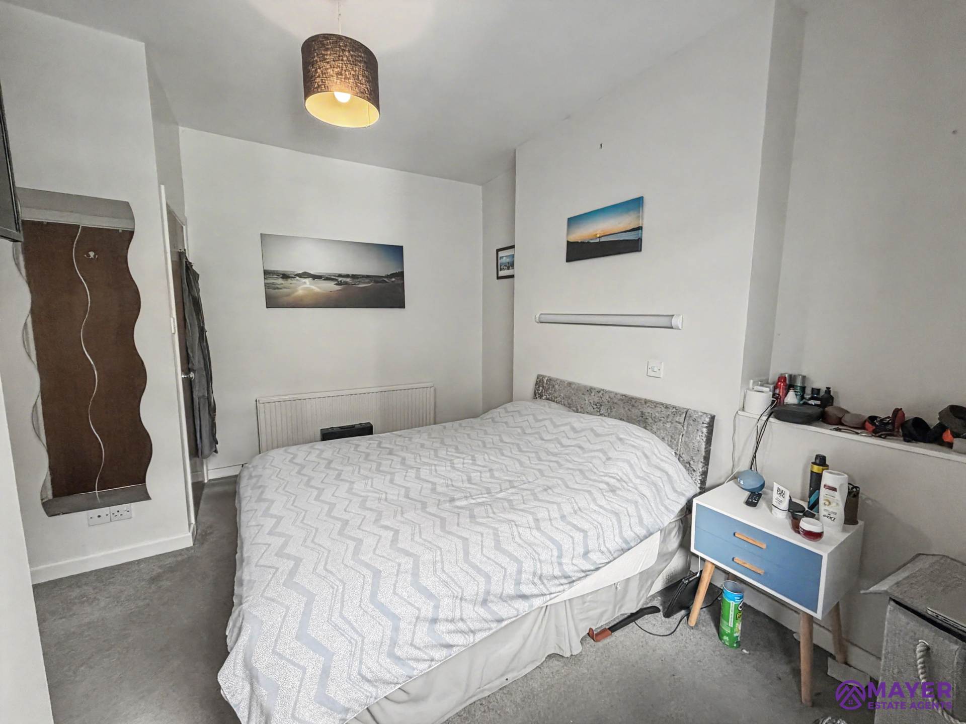 Saltram Terrace, Plymouth, Image 10