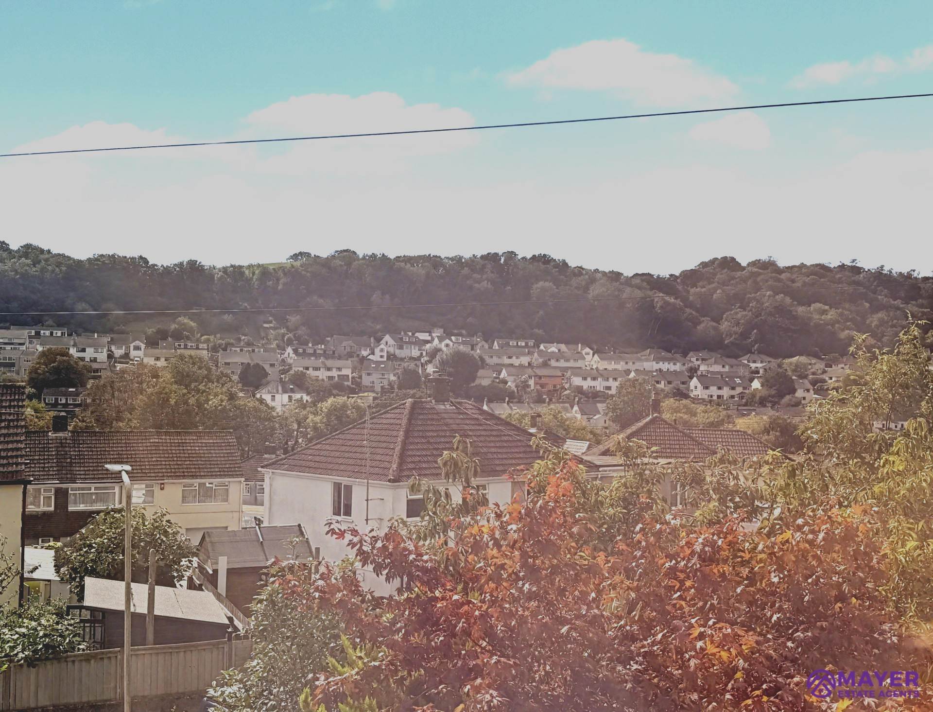 Saltram Terrace, Plymouth, Image 2