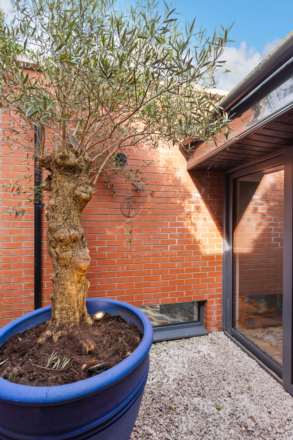 26 Long Lane, Portobello, D08 F5K0, Image 5