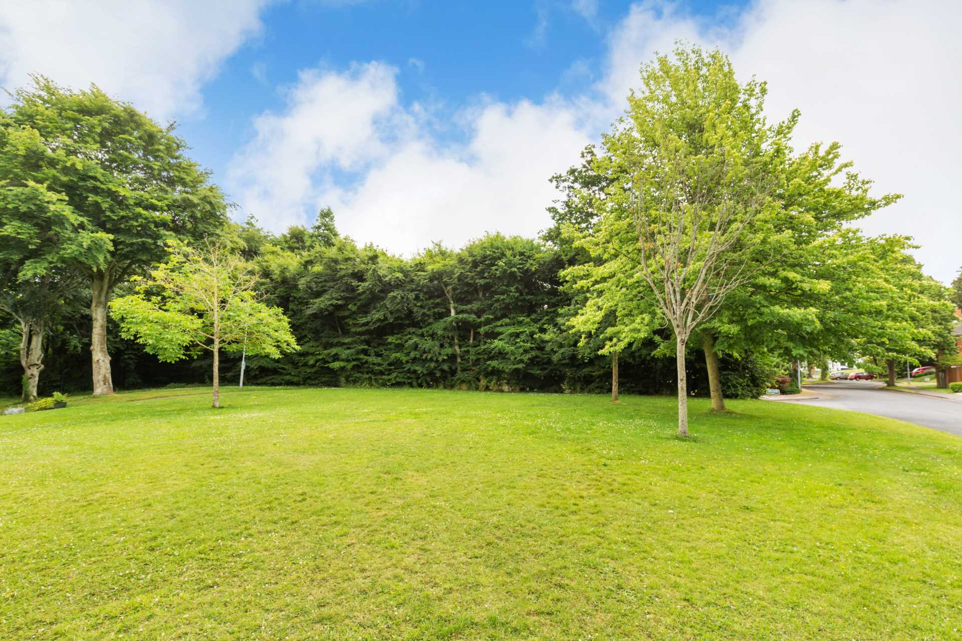 2 Larch Drive, Brookwood, Rathfarnham, D16 E5X0, Image 14