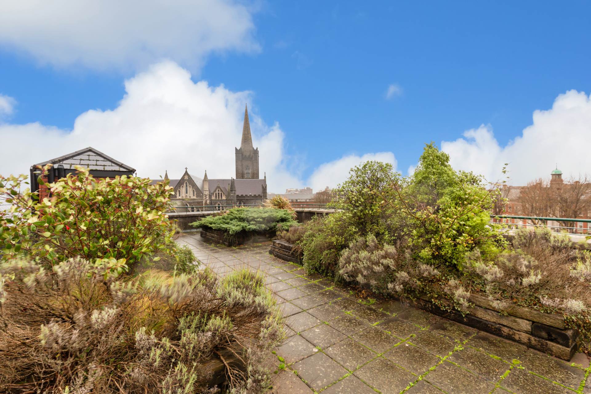 33 Canon Court, Bride Street, Dublin 8, D08 X06F, Image 12