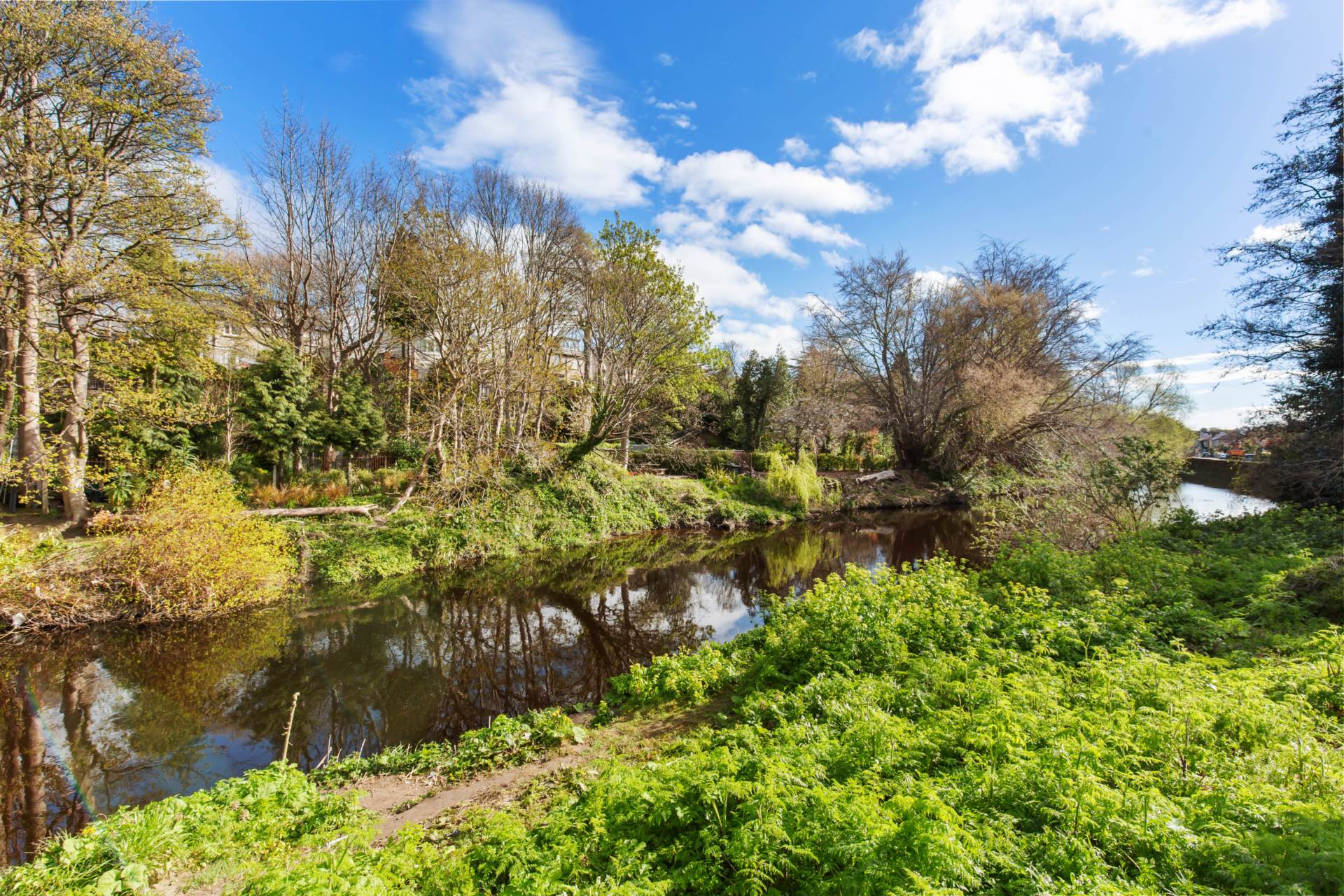 5 The Falls, Dodder Road Lower, Rathfarnham, D14 AX67, Image 15