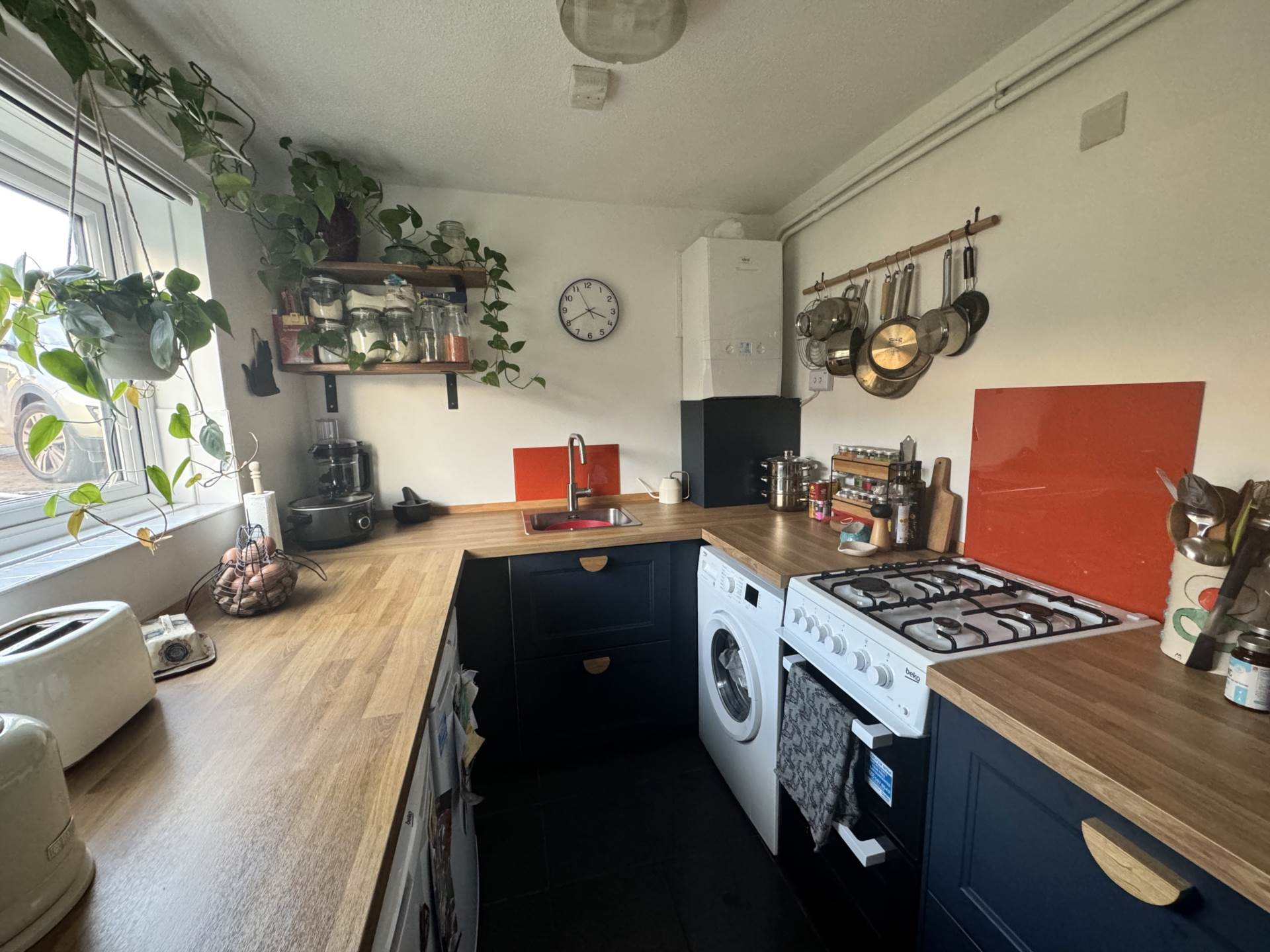 Hawthorn Grove, Image 3