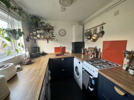Hawthorn Grove, Image 3