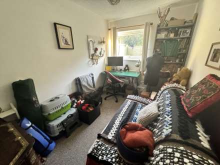 Hawthorn Grove, Image 5
