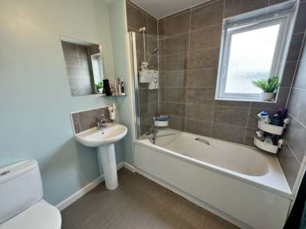 Greenway Gardens, Budleigh Salterton, Image 7