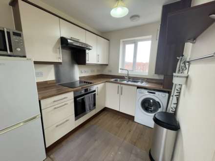 Higher Meadow, Cranbrook, Exeter, Image 3