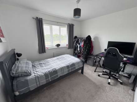 Viking Grove, Exeter, Image 8