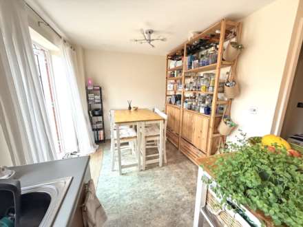 Cyprus Gardens, Exmouth, Image 4