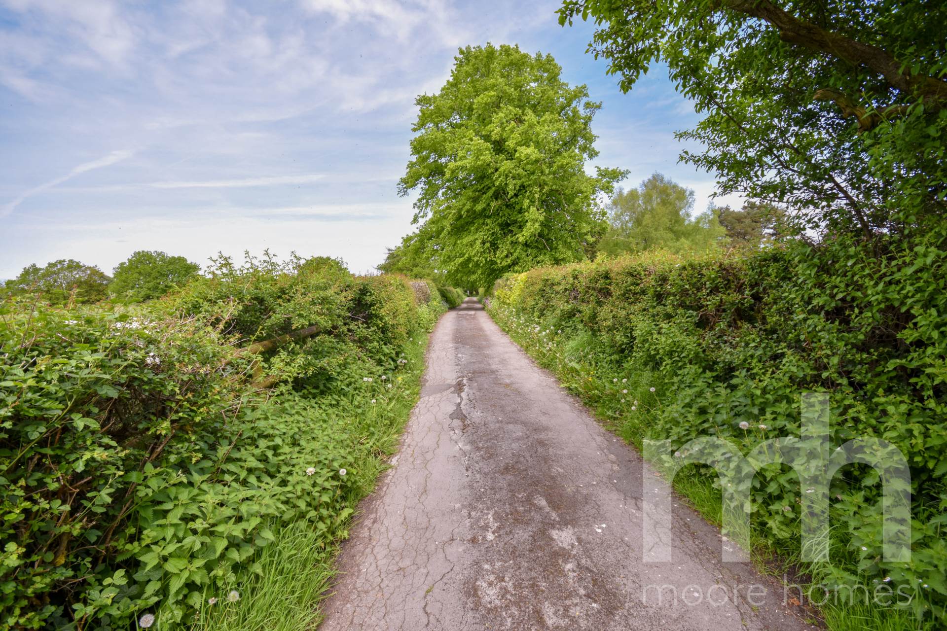 HOLEHOUSE LANE, Whiteley Green, SK10 5SJ, Image 21