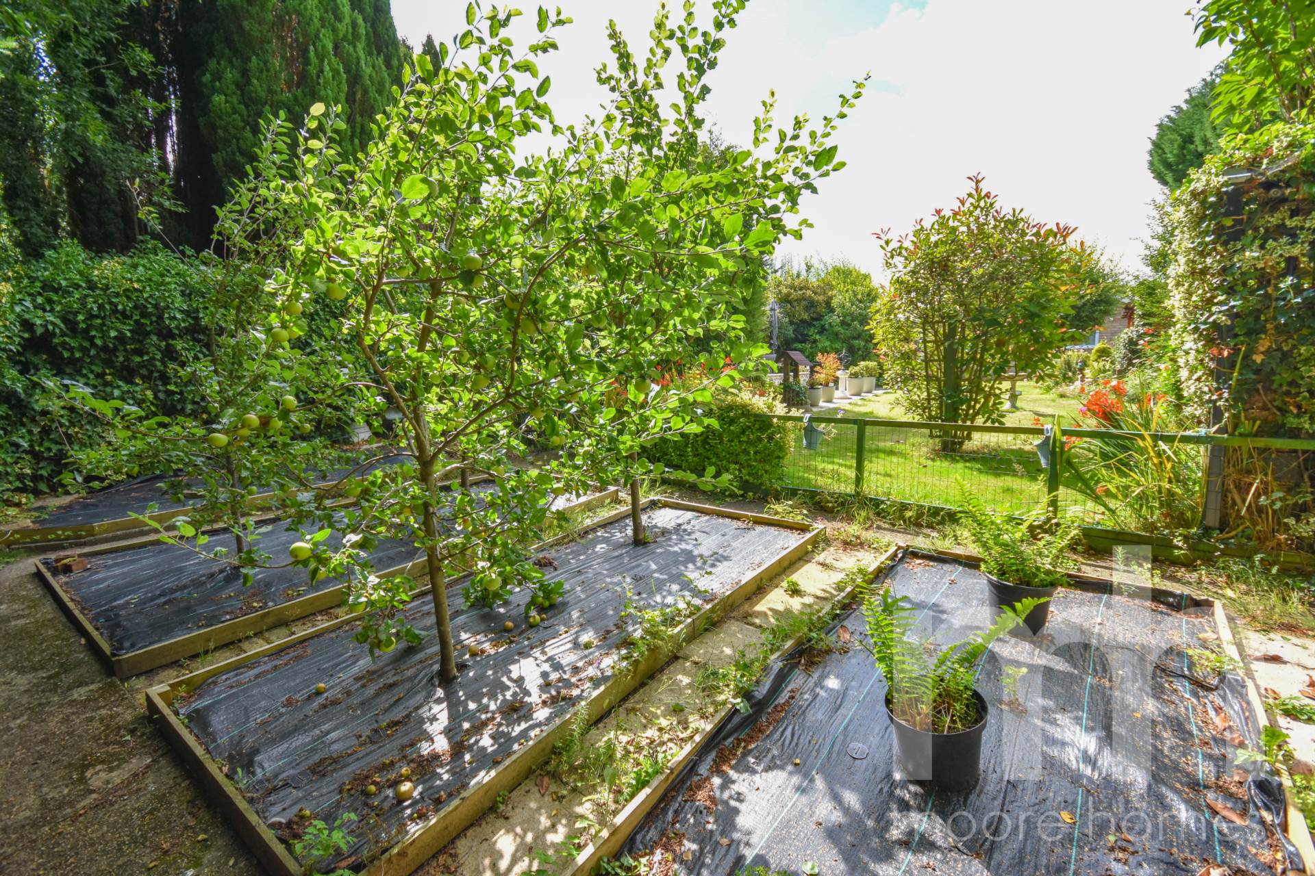 CHESTNUT DRIVE, Poynton, SK12 1QG, Image 20