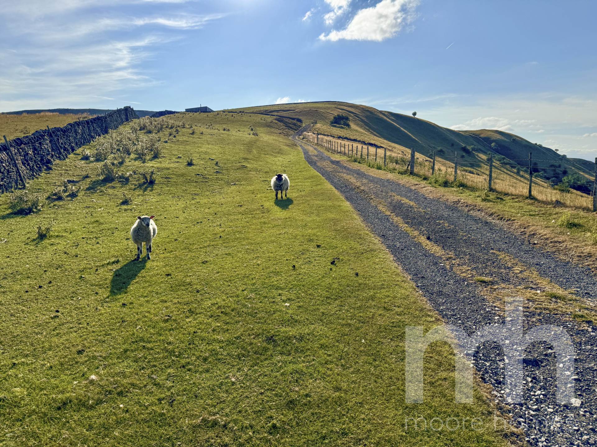 MAYNESTONE ROAD, Chinley SK23 6AH, Image 28