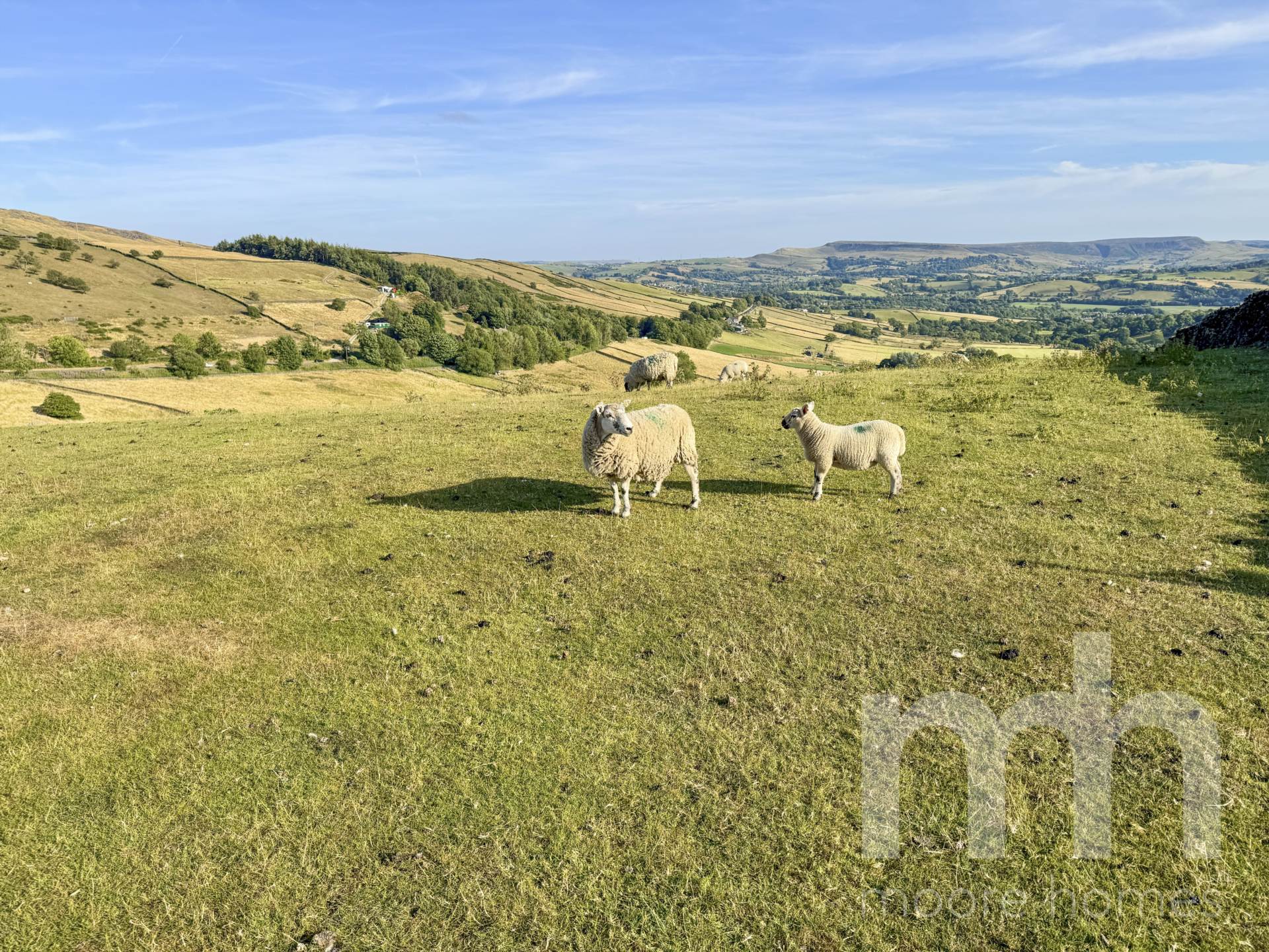MAYNESTONE ROAD, Chinley SK23 6AH, Image 29
