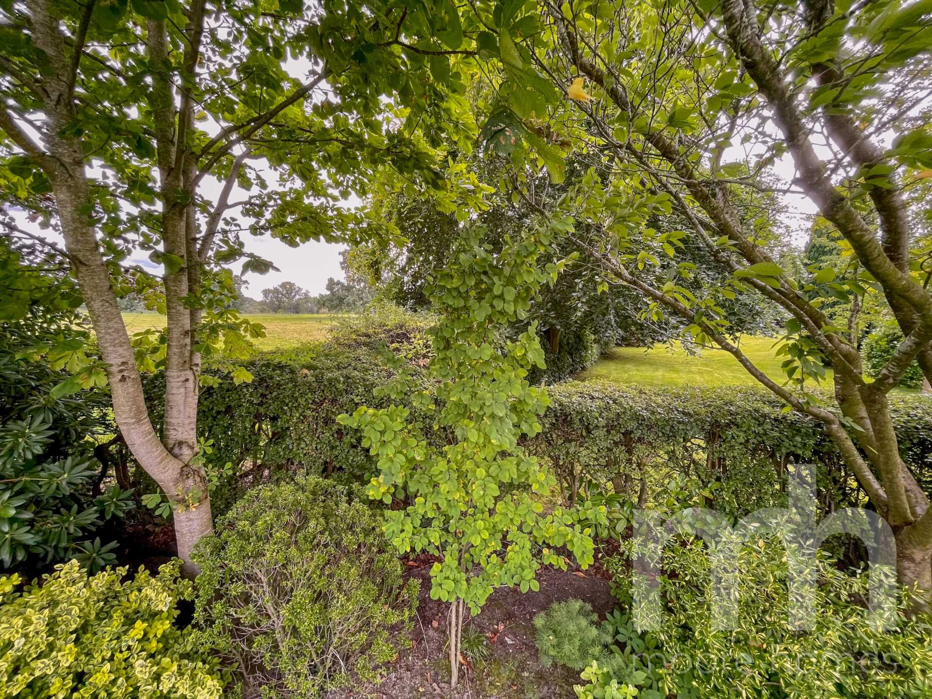 JACKSONS LANE, Hazel Grove SK7 5JS, Image 6