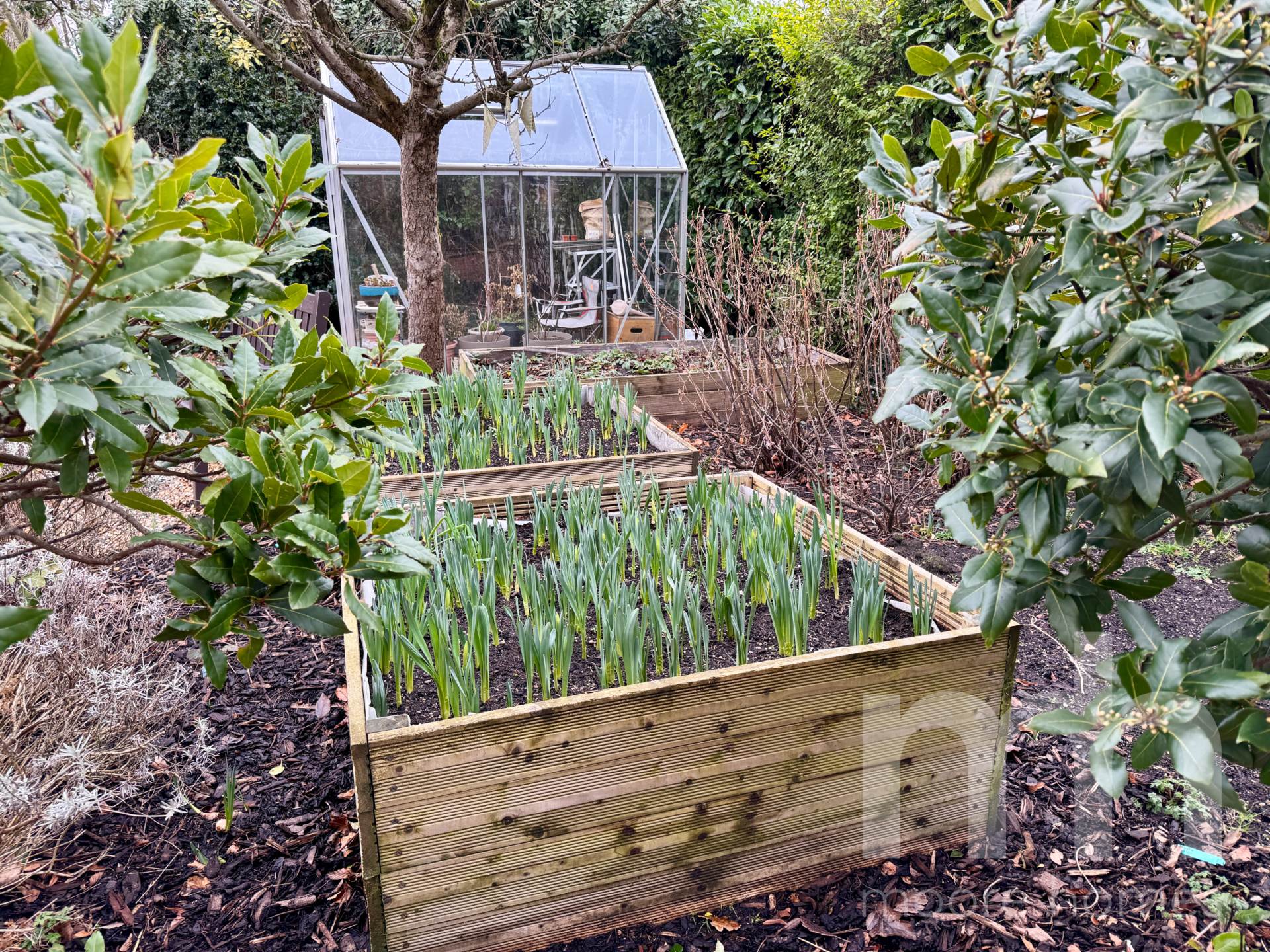 MIDWAY, Cheadle Hulme SK8 7PH, Image 28