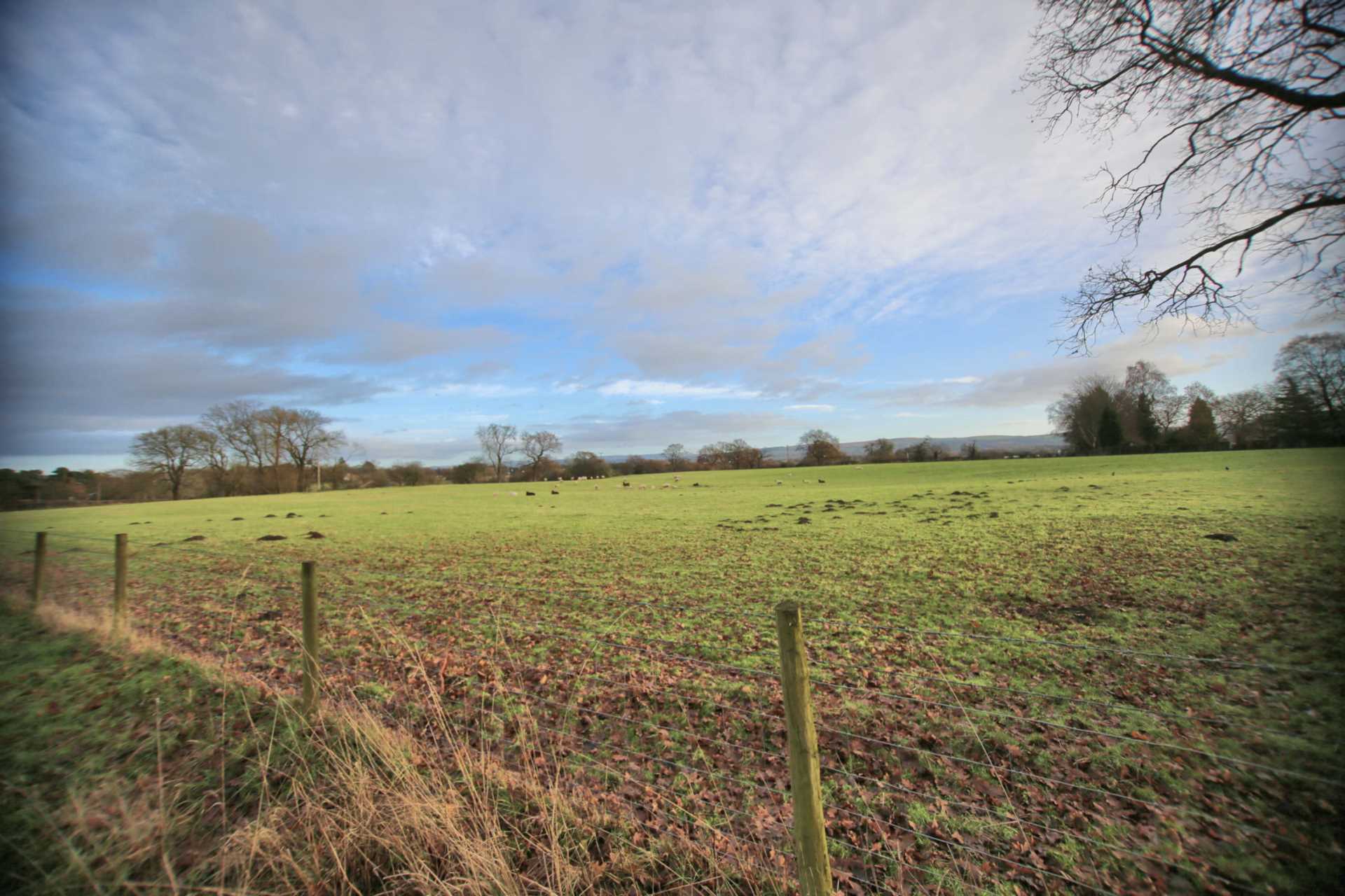 Woodford Road, Wilmslow, Image 7